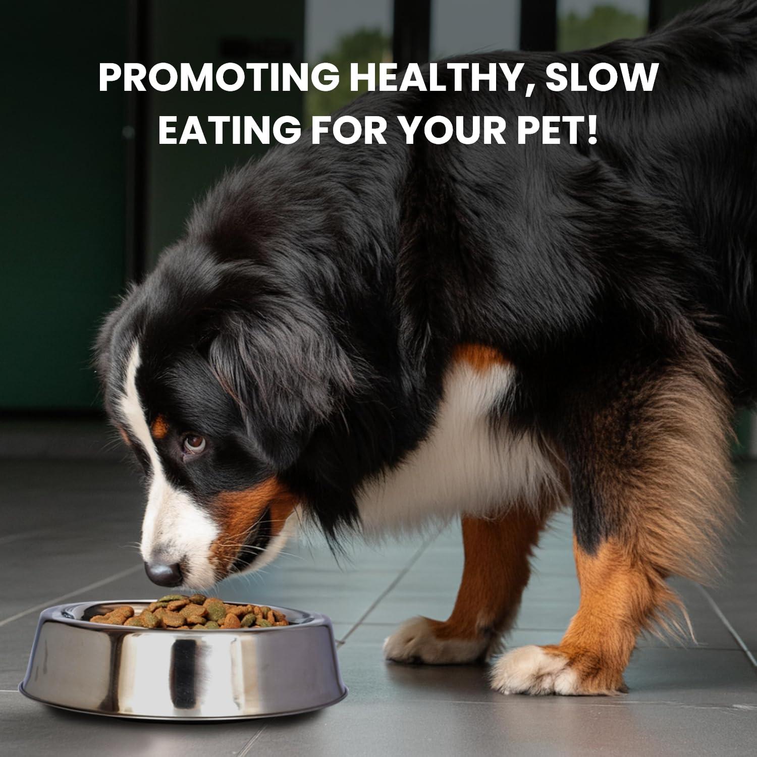 Iconic Pet 92195 Anti Ant Stainless Steel Non Skid Pet Bowl for Dog or Cat- 64 oz - 8 cup