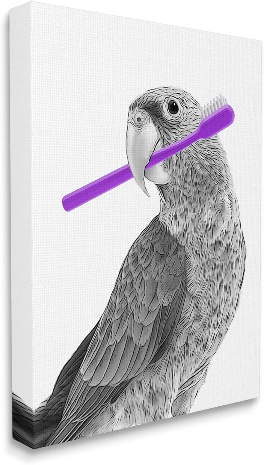 Stupell Industries Aw-316-Canvas " Parrot With Toothbrush Funny Bird " by Annalisa Latella