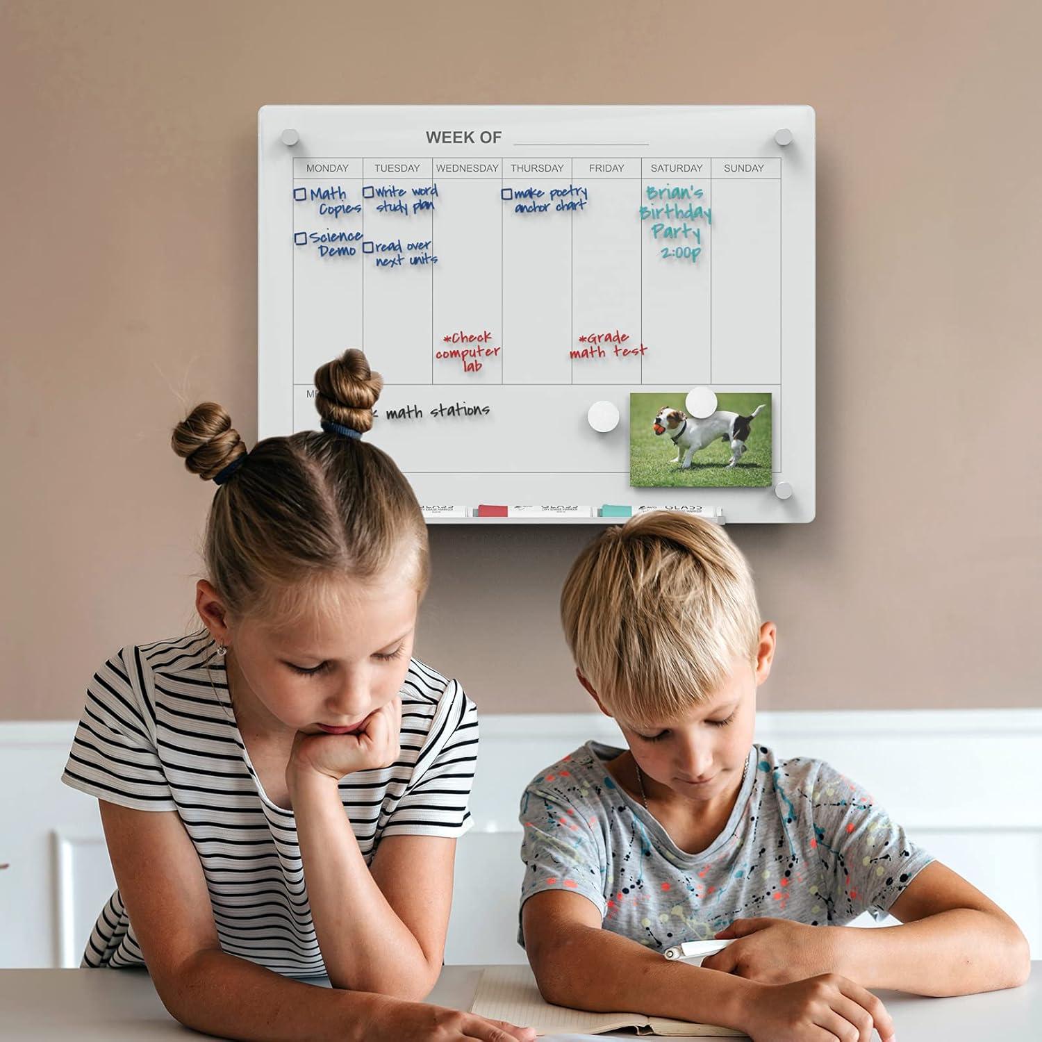 Audio-Visual Direct Wall Mounted Glass Board & Reviews | Wayfair