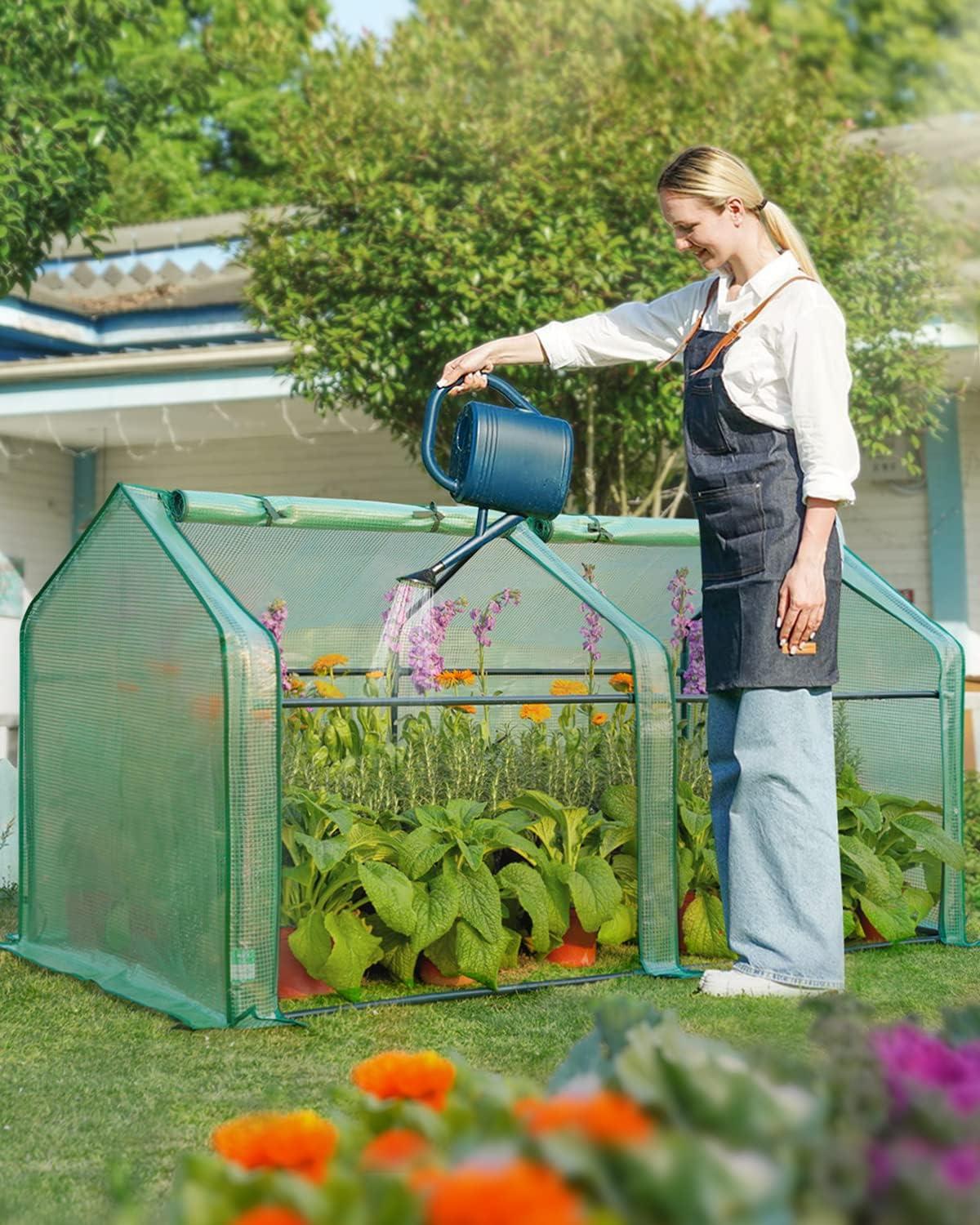 Green Steel Frame Mini Cloche Greenhouse with PE Cover