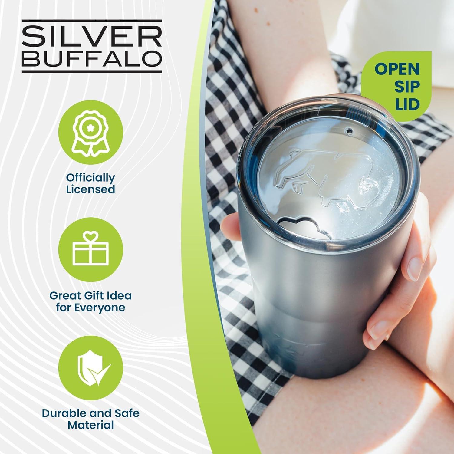 Silver Buffalo Matte Gray Stainless Steel Tumbler With Open-Sip Lid | Holds 20 Ounces