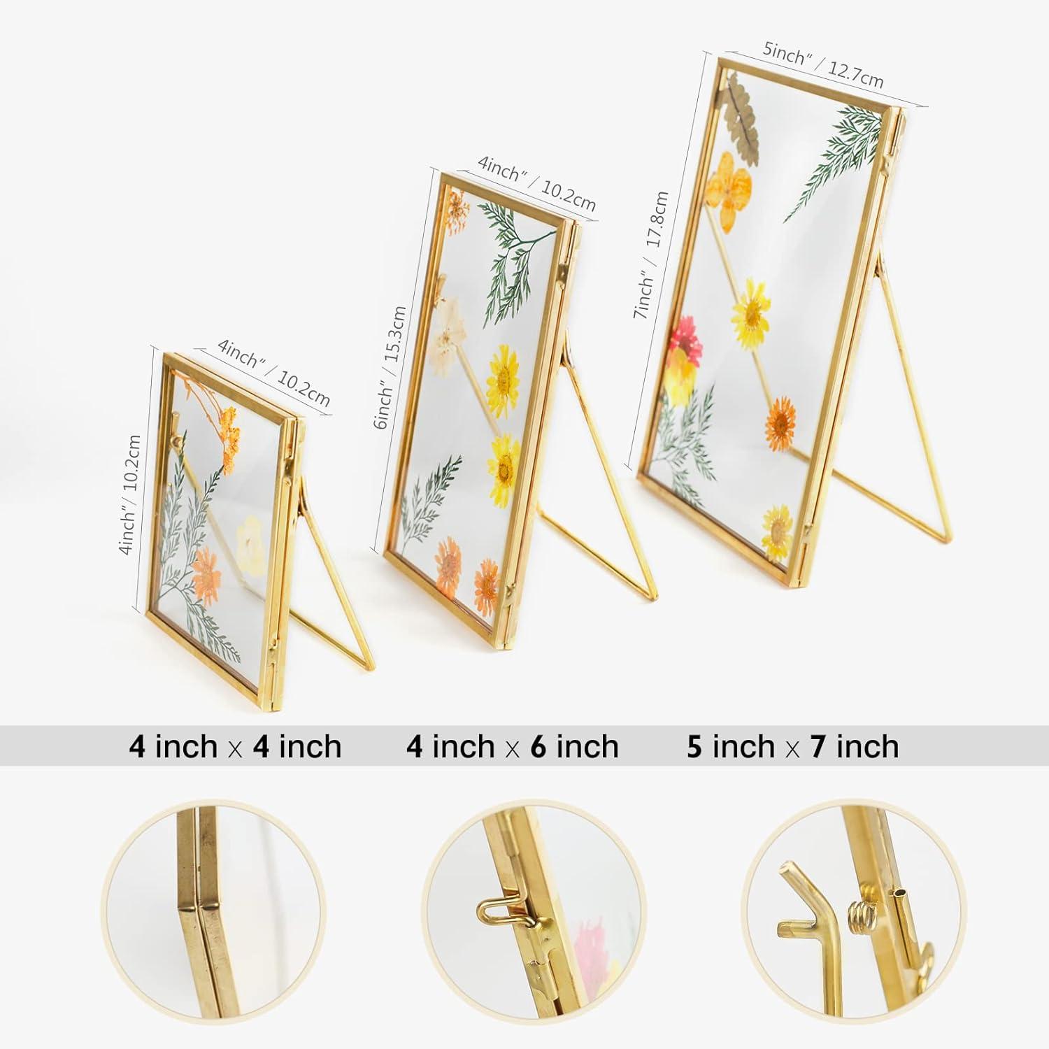 Gold Metal Floating Glass Picture Frames Set, 4x4, 4x6, 5x7