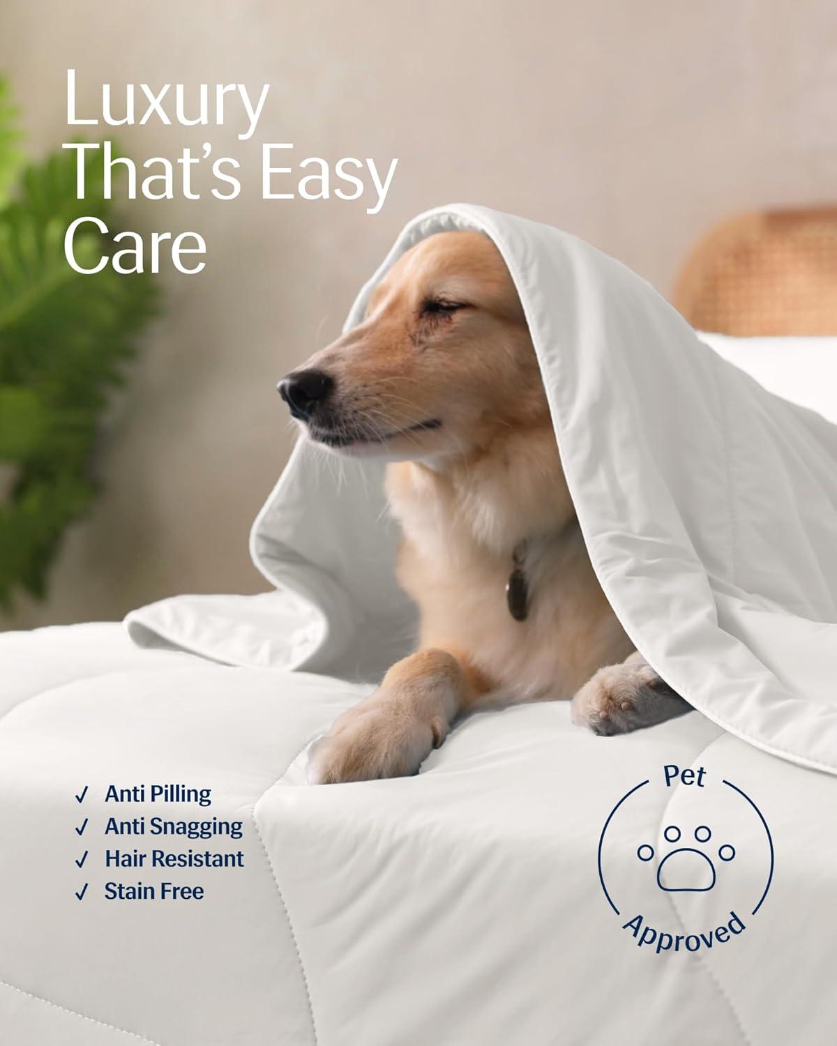 REST REST Evercool Award-Winning Cooling Comforter – Ultra Soft, Breathable, Lightweight, Hypoallergenic, All-Season Comforter for Hot Sleepers, Machine Washable
