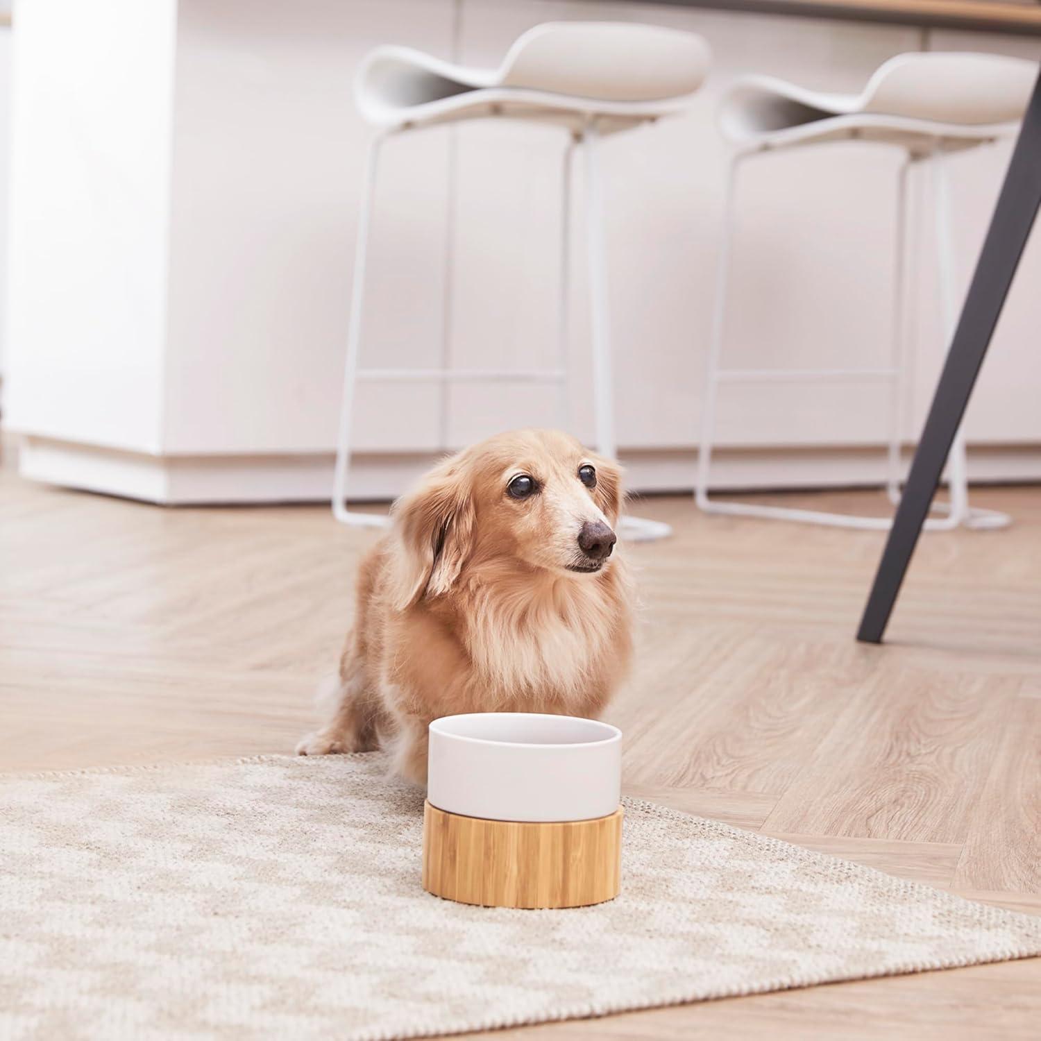 Teamson Pets Billie Raised Dishwasher Safe Ceramic Pet Bowl with Bamboo Stand