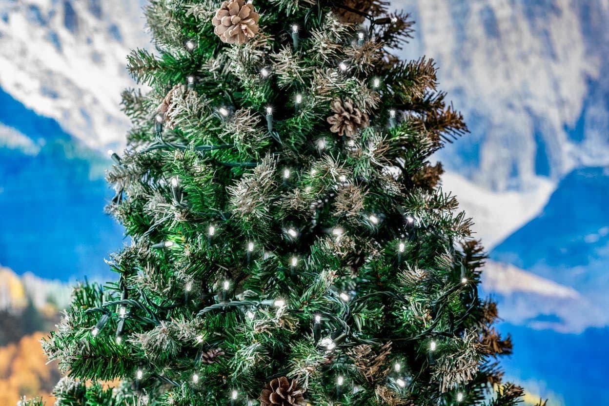 Novelty Lights 50 Light Pure White LED Christmas Mini Light Set (Black Wire, 11 Feet)
