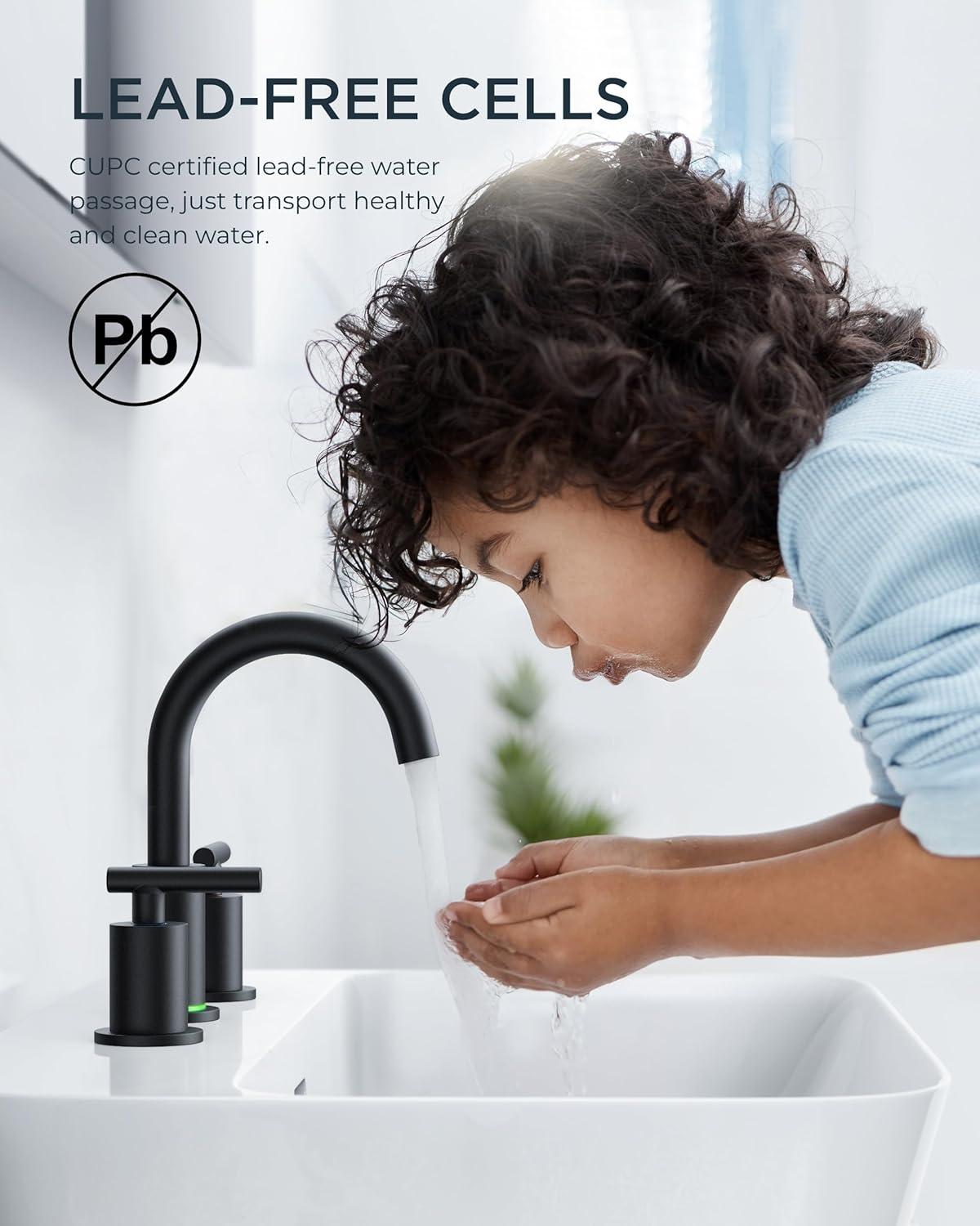 Widespread 2-handle Bathroom Faucet