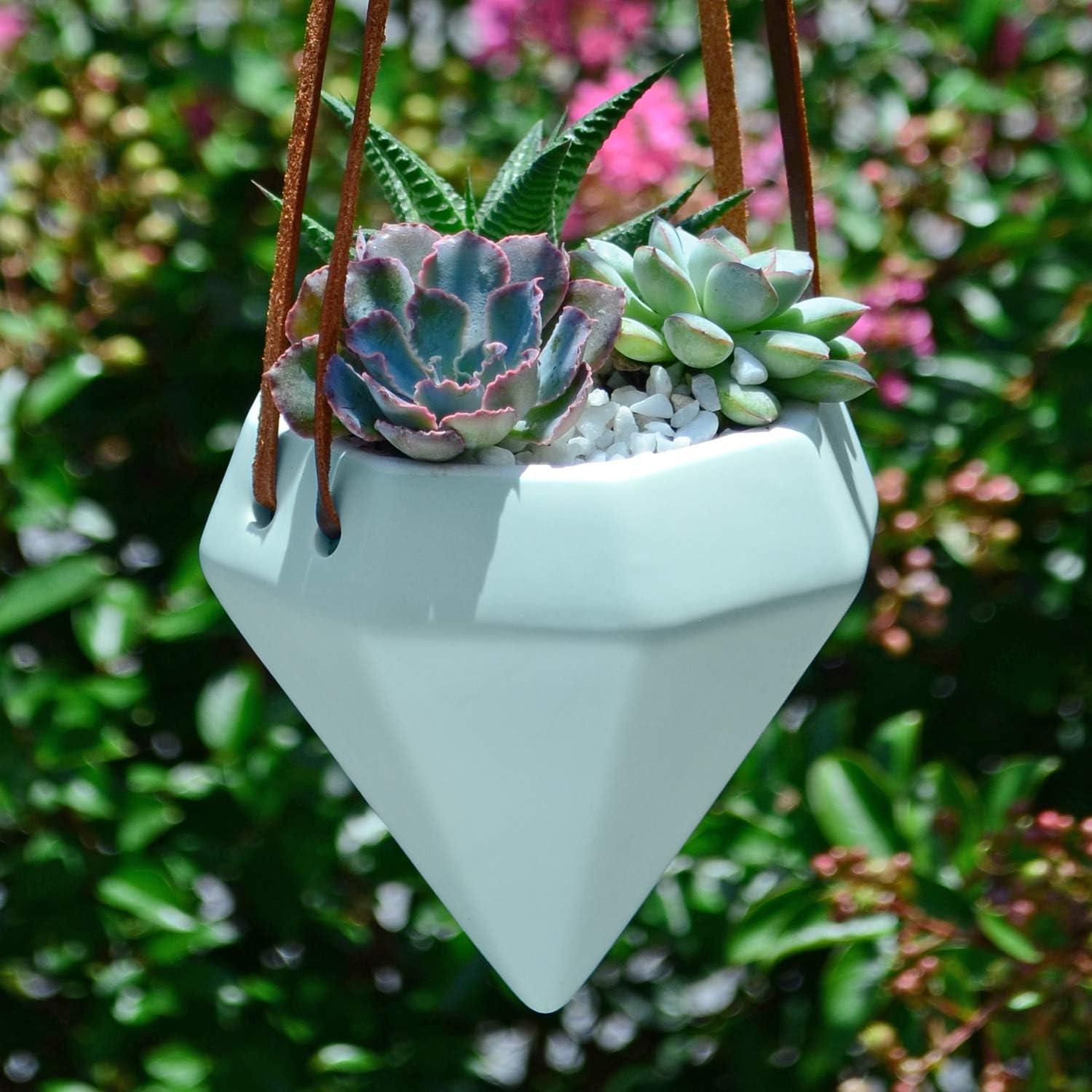 Guilford Ceramic Hanging Planter