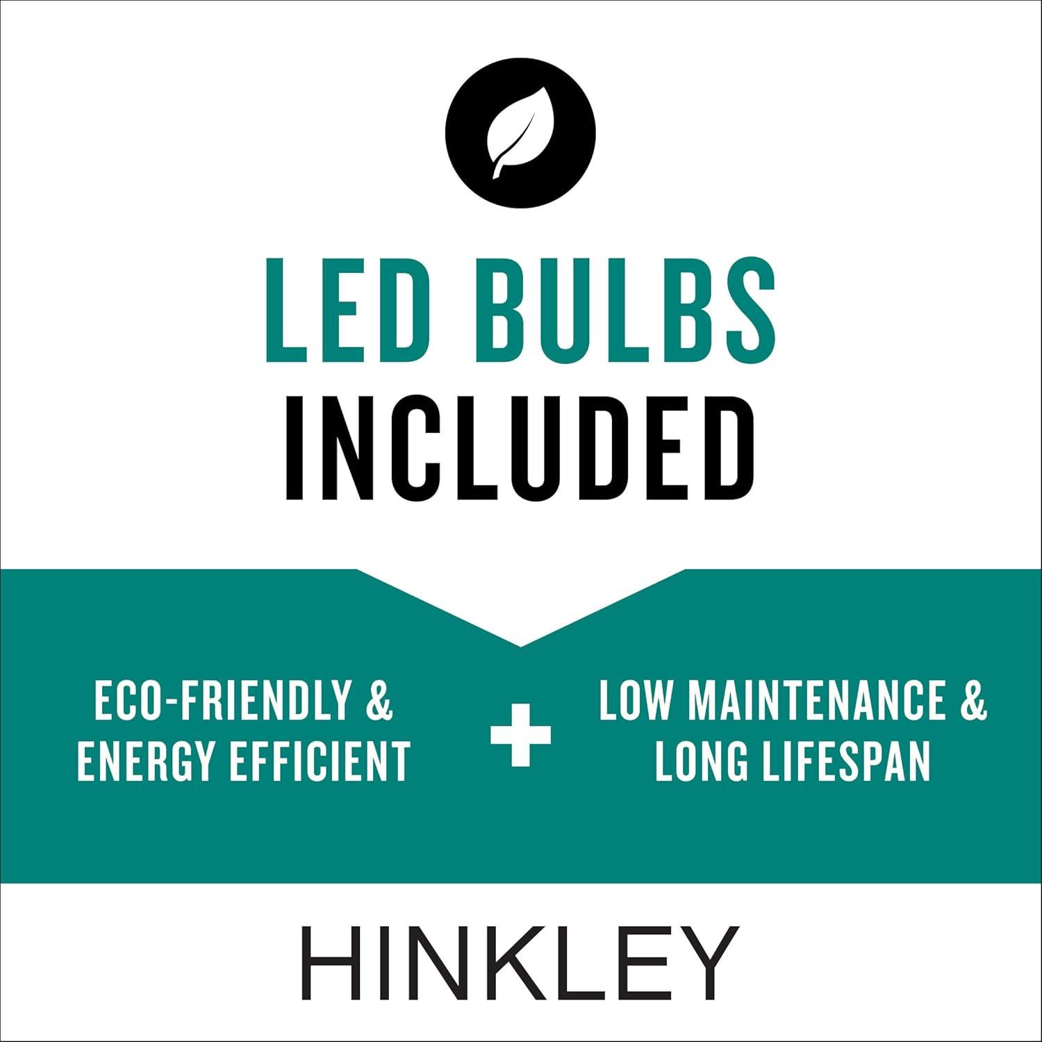 Hinkley Shelter 15 1/2" High Black Outdoor Wall Light