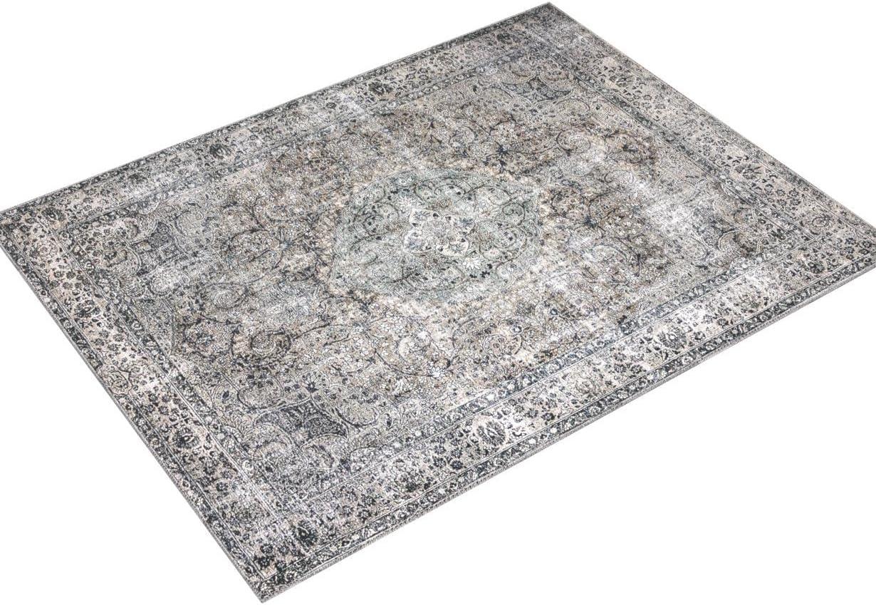 Loloi II Layla Printed Oriental Distressed Taupe / Stone Area Rug