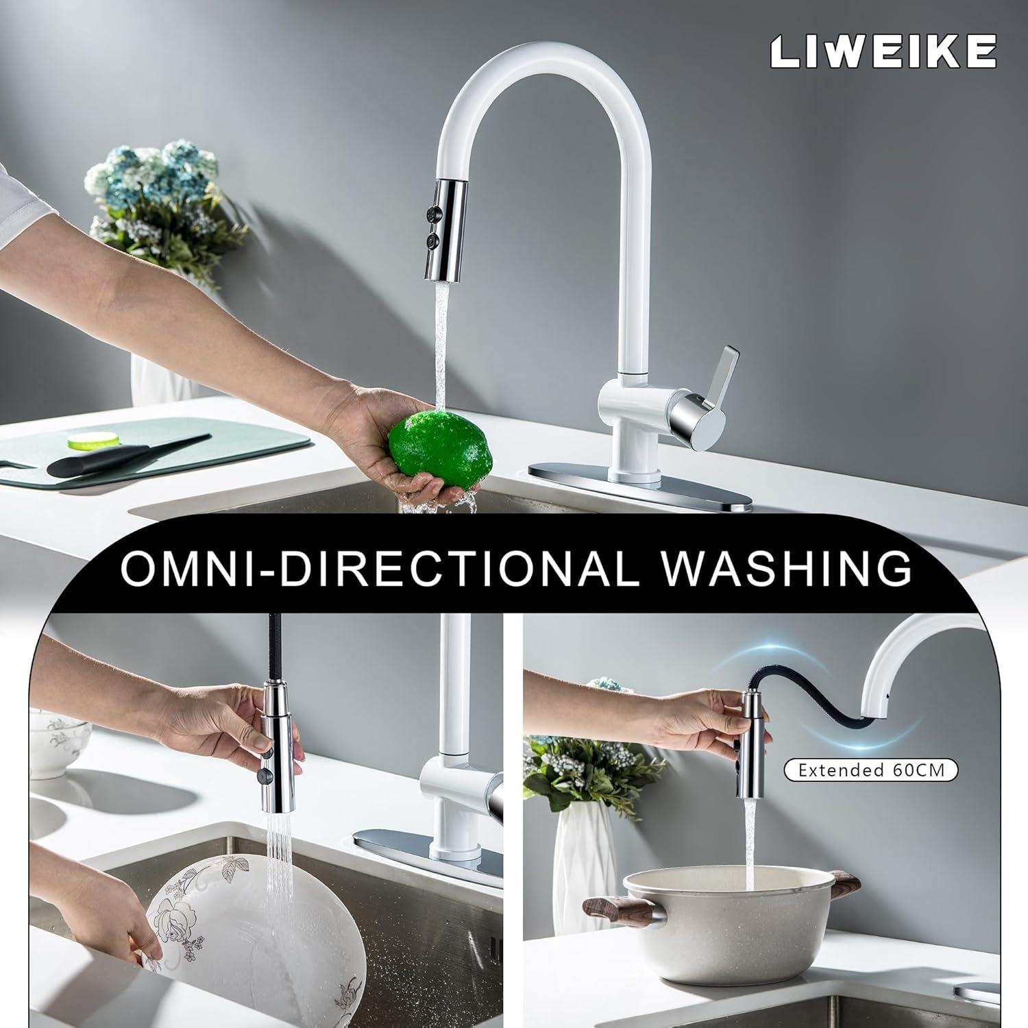 VIBRANTBATH VIBRANTBATH Pull Out Kitchen Faucet 4034-BGK