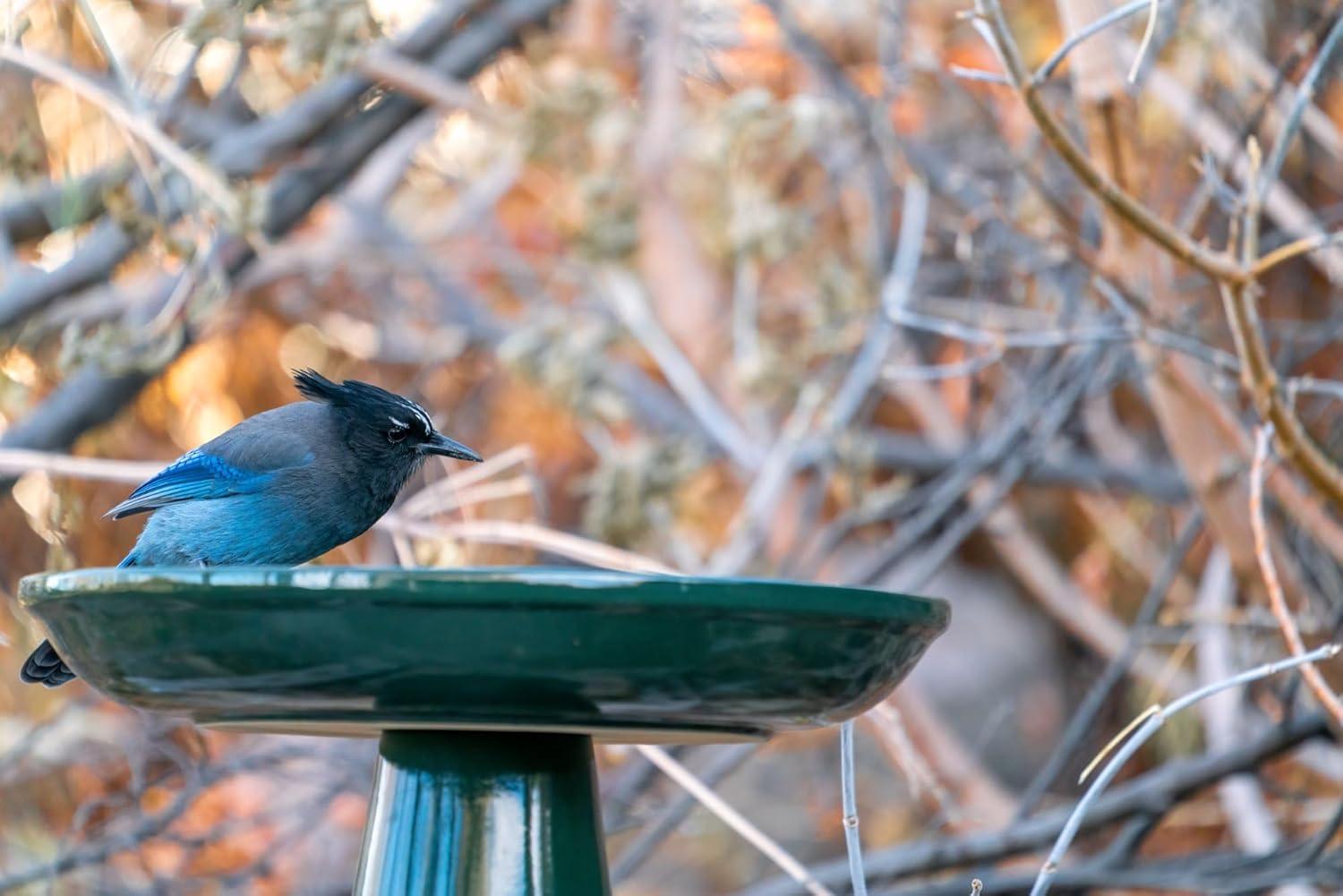 Ohio Stoneware Bird Bath