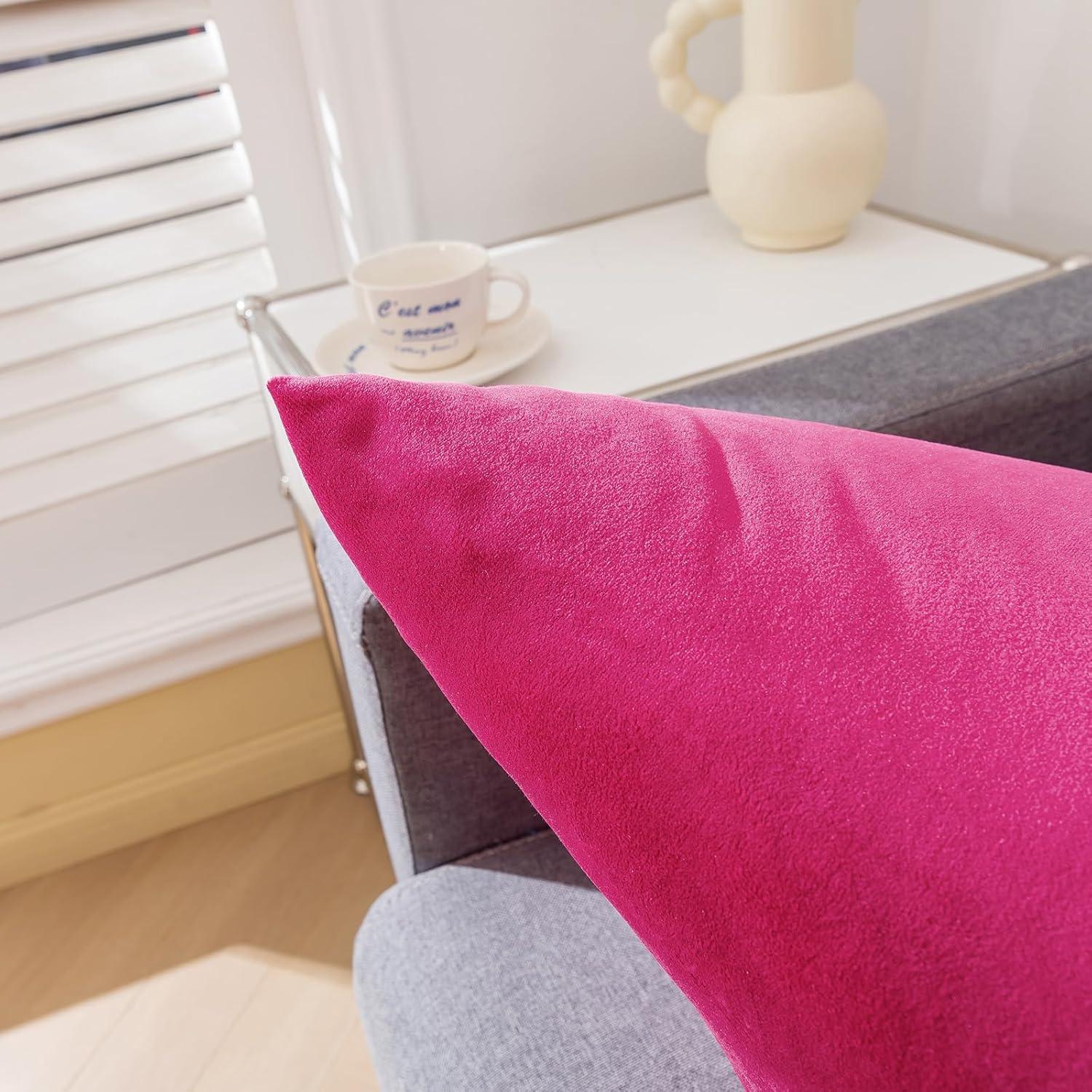 RainRoad Hot Pink Throw Pillows Covers Set of 2 Soft Velvet Decorative Pillow Covers 18x18 Inch for Couch Bed(Hot Pink, 18" x 18"(Pack of 2))