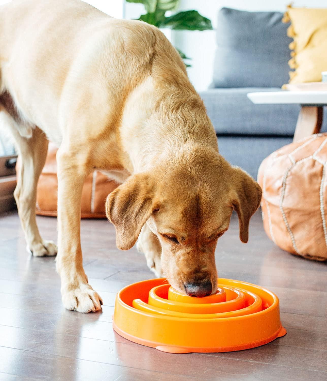 Outward Hound Outward Hound Fun Feeder Bowl, Slow Feeder Dog Bowl, Large, Orange