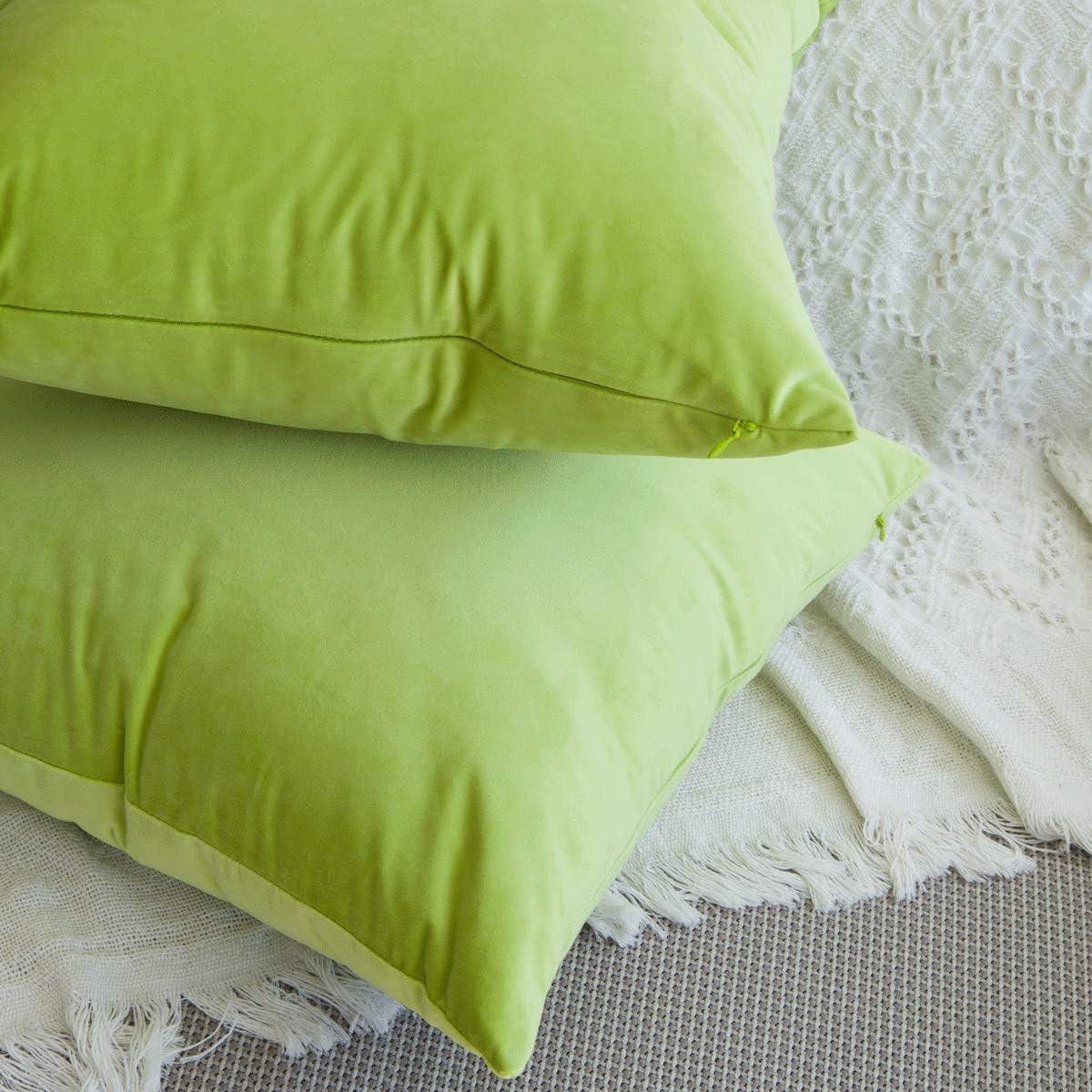 Cterwk Pack of 2 Velvet Decorative Throw Pillow Covers Soft Solid Square Cushion Cover Pillow for Living Room, Bedroom, Office, 20 x 20 inches
