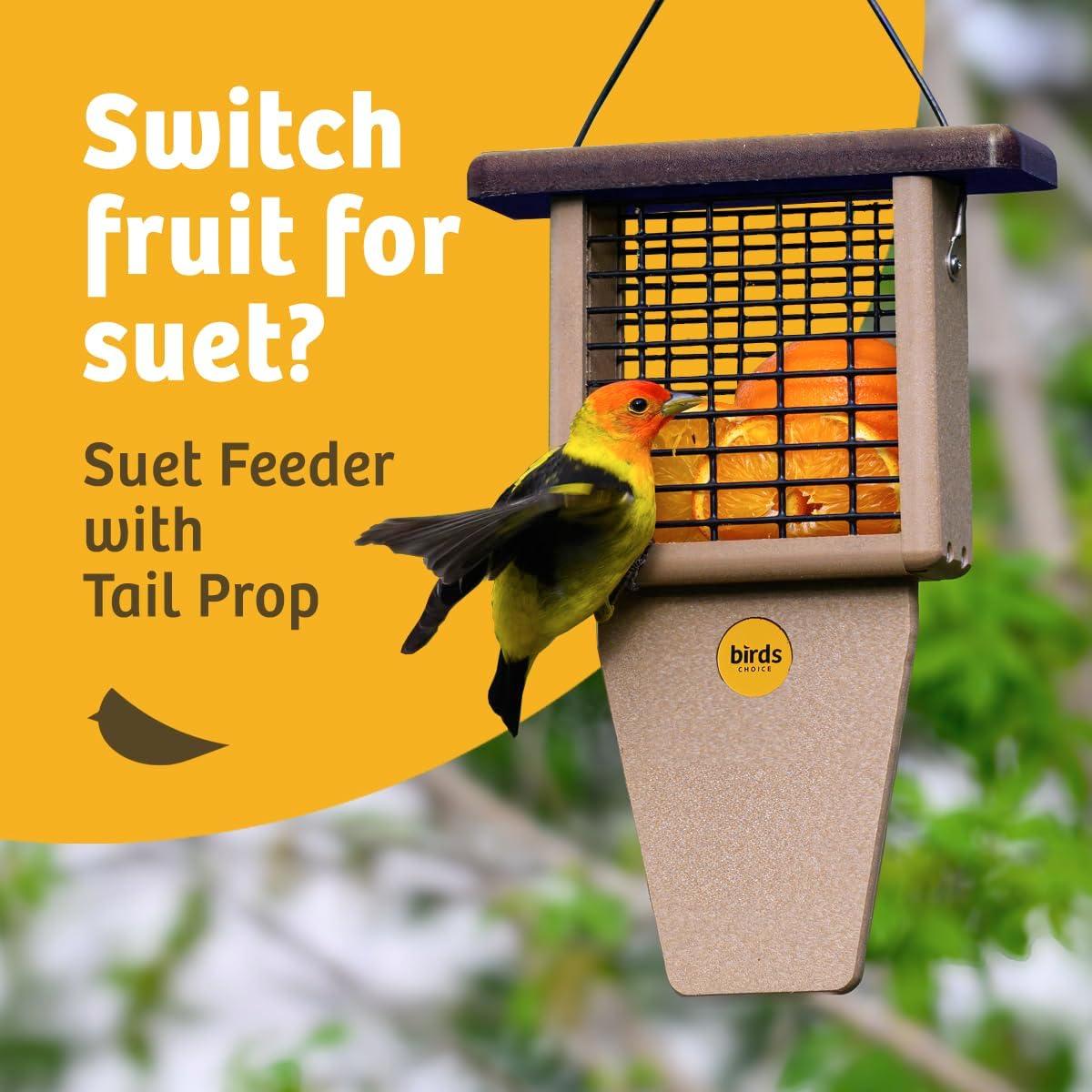 Birds Choice Birds Choice 12" Recycled Single Cake Tail Prop Suet Feeder, Taupe/Green