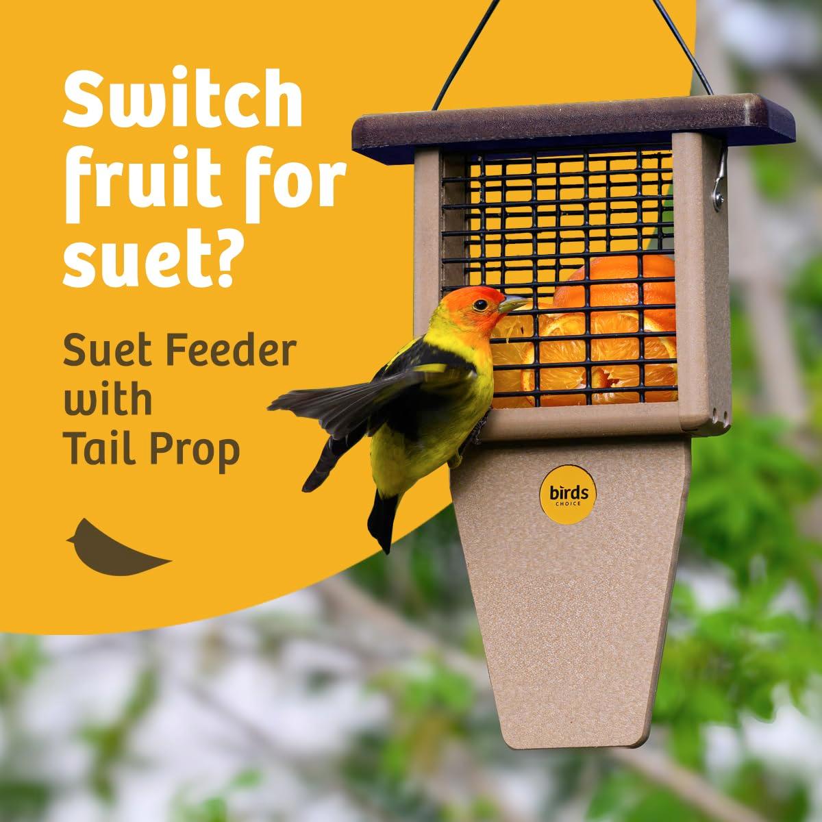 Birds Choice Birds Choice 12" Recycled Single Cake Tail Prop Suet Feeder, Taupe/Green