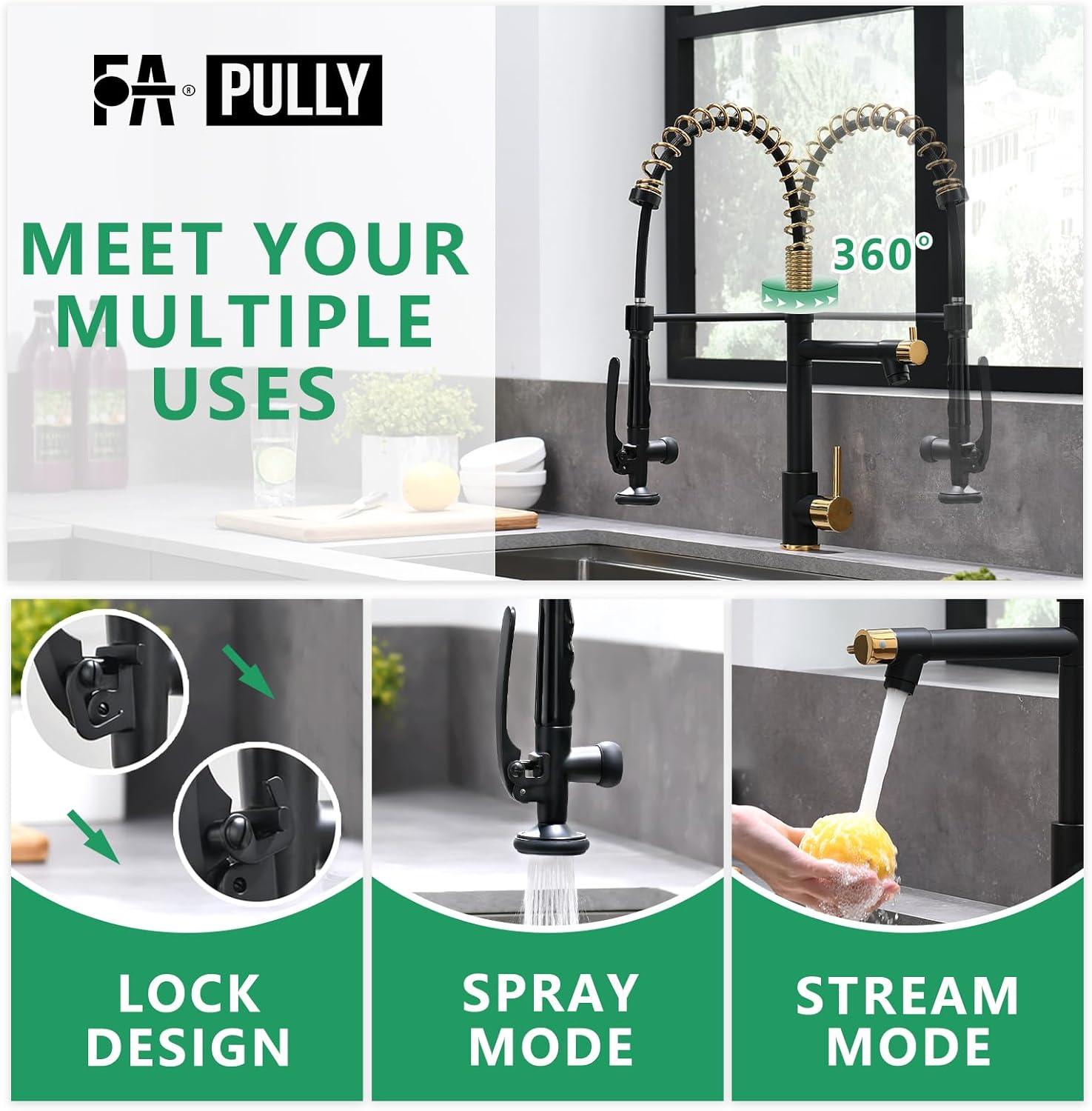 Matte Black and Gold Pull-Down Kitchen Faucet with Sprayer