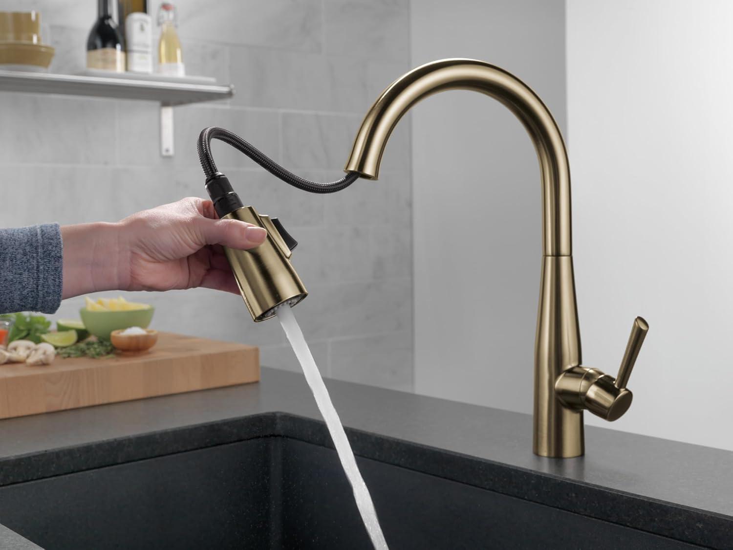 Essa Pull Down Single Handle Kitchen Faucet with MagnaTite® and Diamond Seal Technology