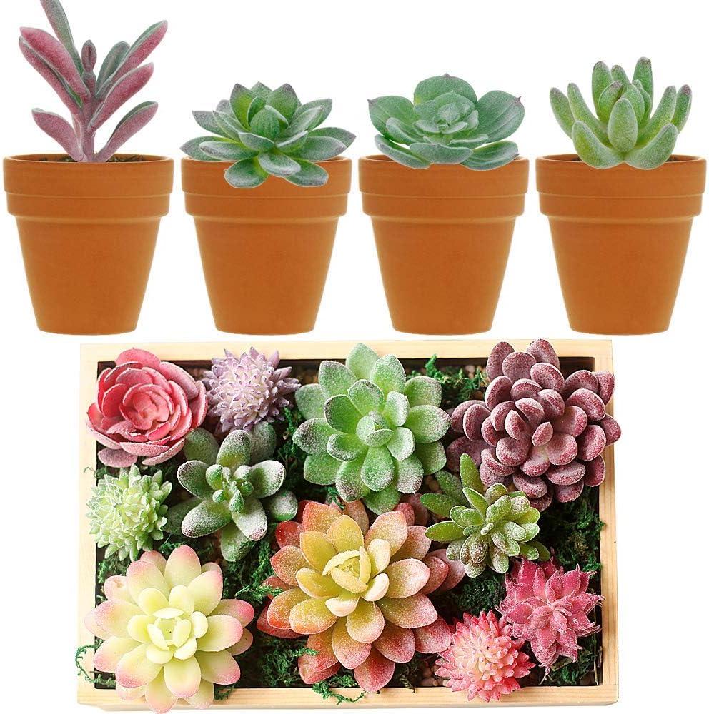 16 Pack Artificial Succulents Plants - Small Fake Plants for Miniature Gardens - Quality PVC Plastic - Faux Succulent Decor - Unique and Varied Designs - Ideal for Beautiful Gardens|The 16 pack of Art