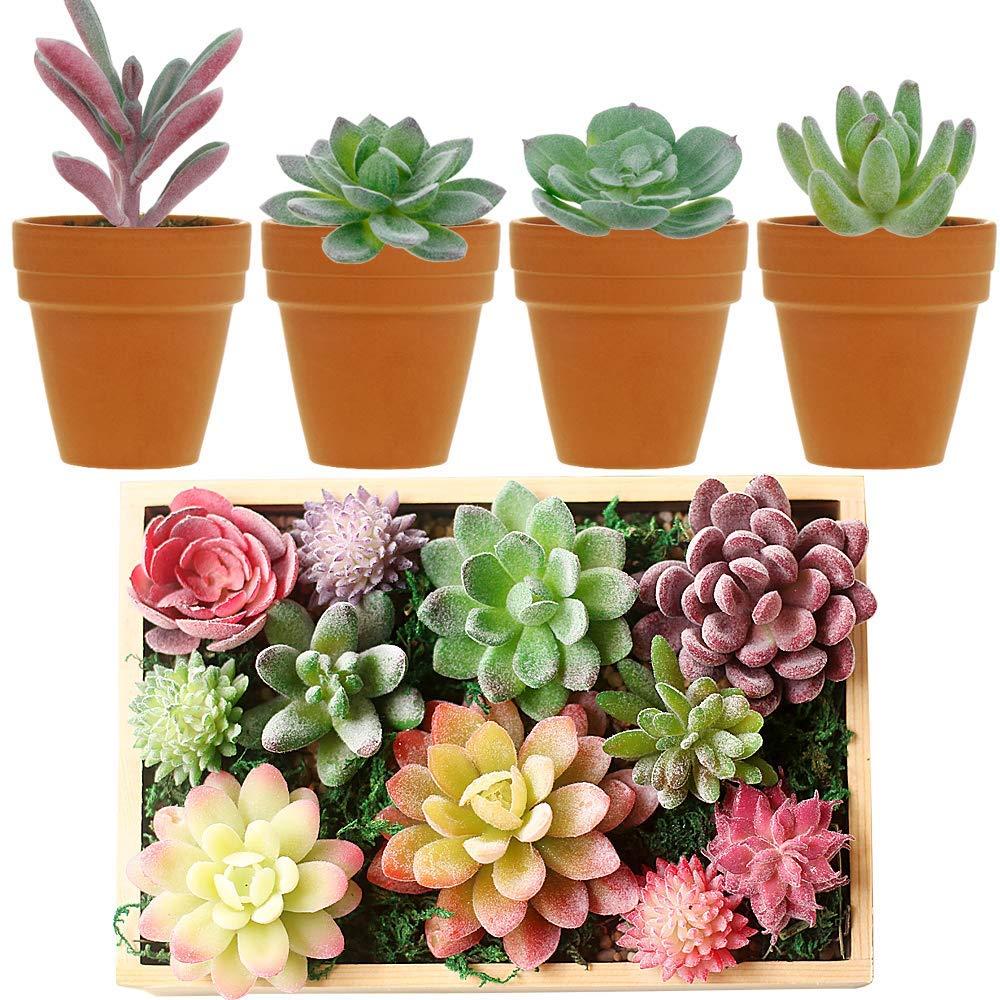 16 Pack Artificial Succulents Plants - Small Fake Plants for Miniature Gardens - Quality PVC Plastic - Faux Succulent Decor - Unique and Varied Designs - Ideal for Beautiful Gardens|The 16 pack of Art