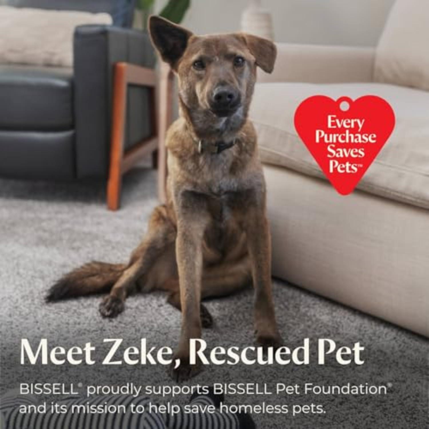 BISSELL 1400B BISSELL Little Green Multi-Purpose Portable Carpet and Upholstery Cleaner, Car and Auto Detailer, with Exclusive Specialty Tools, Green, 1400B