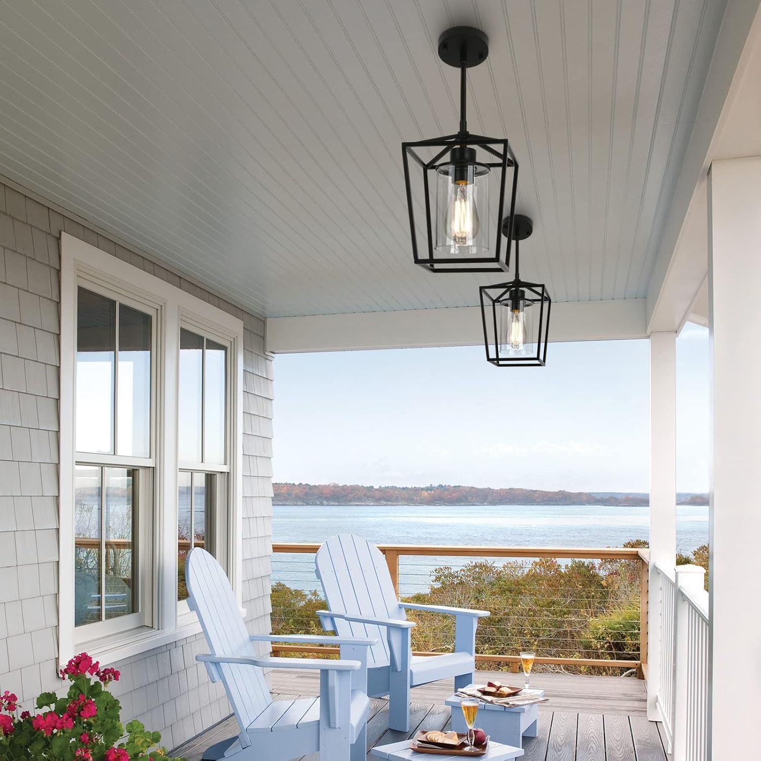 Black Iron Cage Pendant Light with Clear Glass Shade