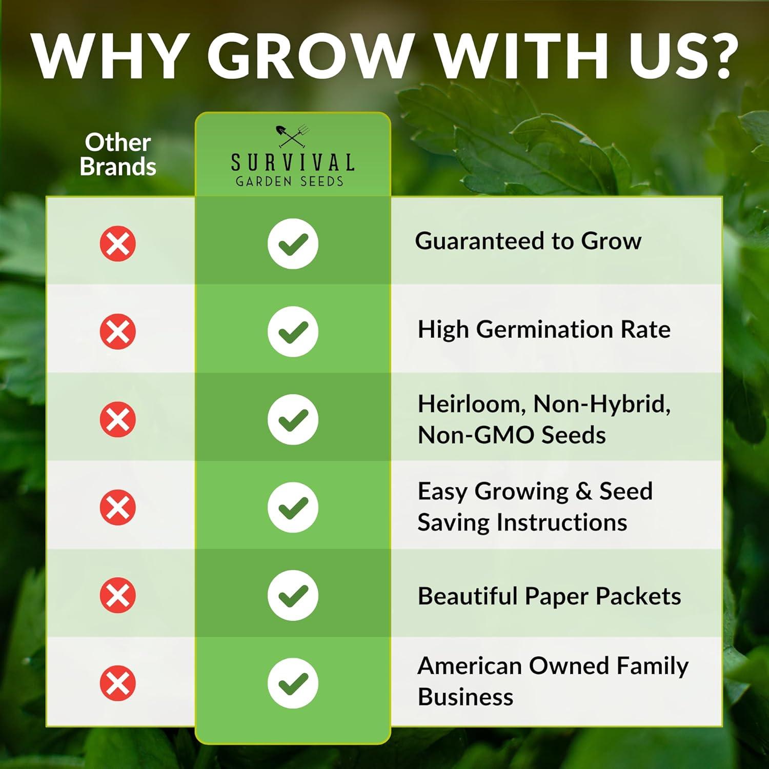 3 Packs Marsh Mallow Seed - Rare Medicinal Flowering Herbs - Non-GMO Heirloom Perennial Full Sun