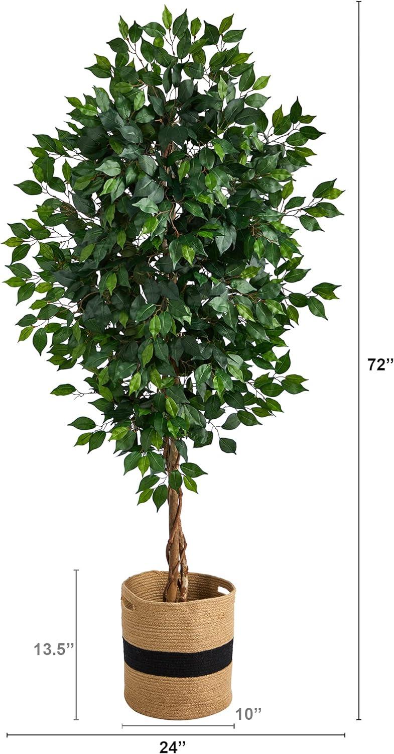 Elegant 6' Ficus Floor Plant in Natural Cotton Planter