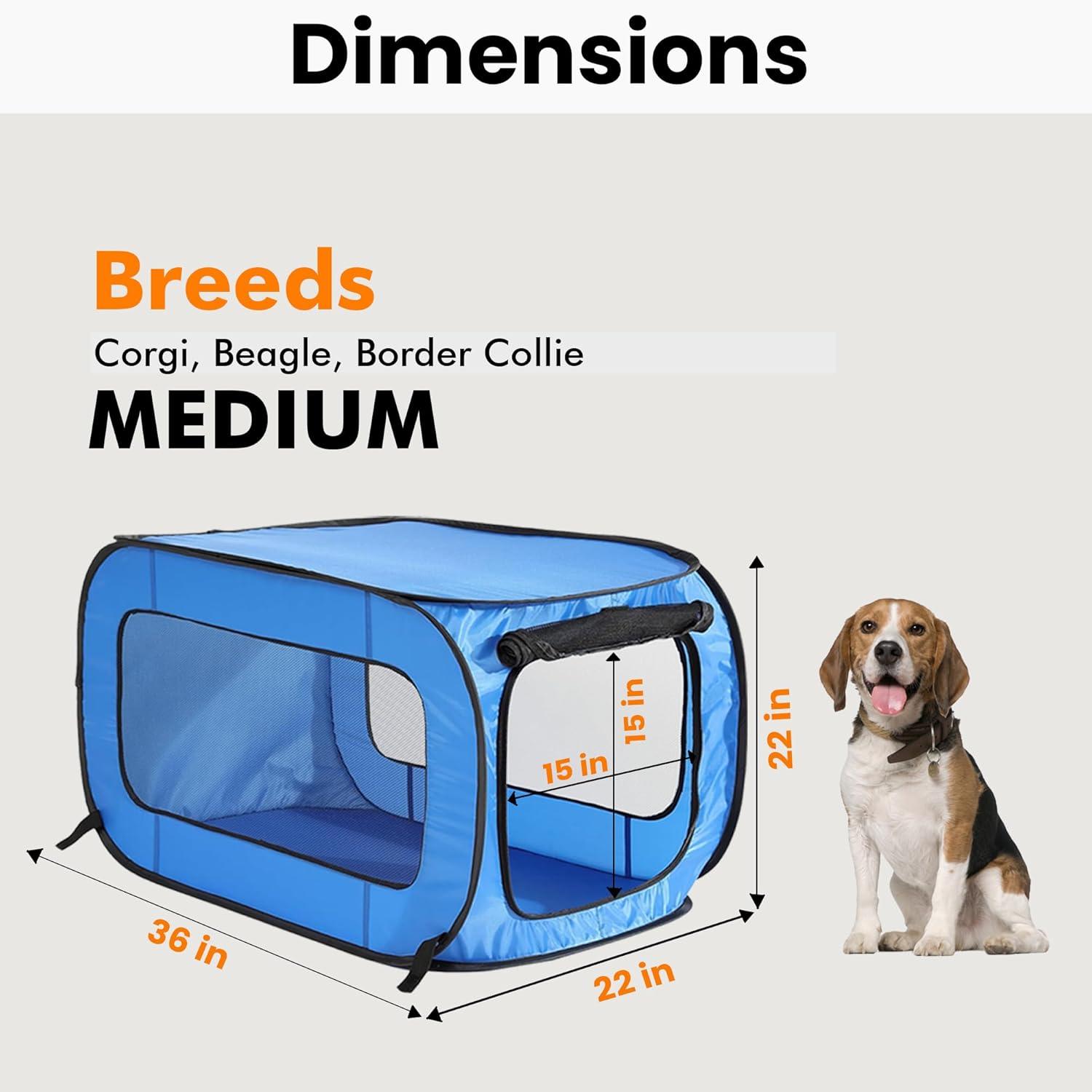 Collapsible Pet Carrier with 1 Door