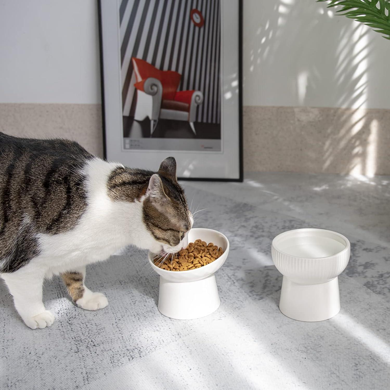 White Ceramic Elevated Cat Food and Water Bowl Set