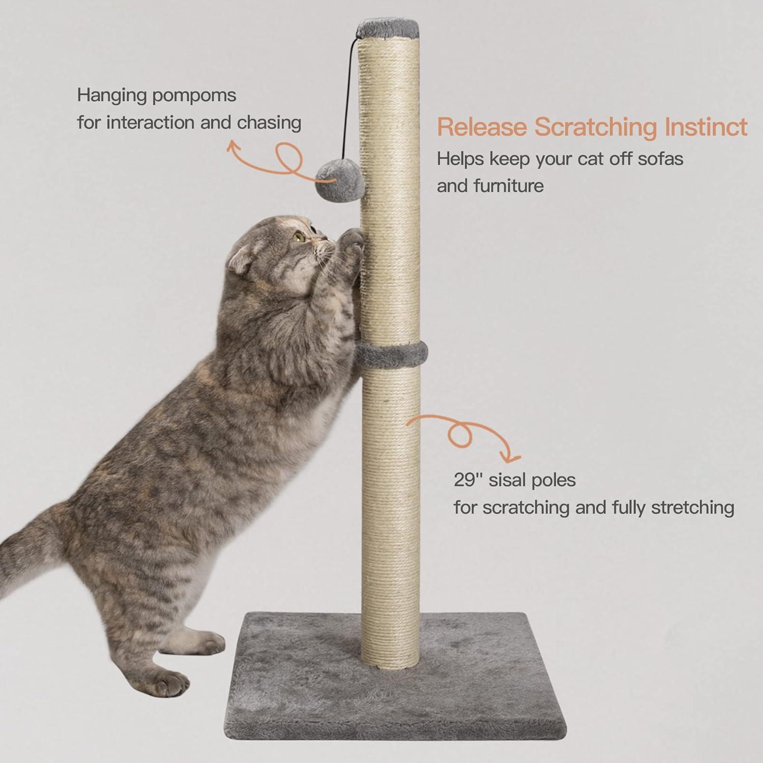 Tucker Murphy Pet™ 29" Tall Cat Scratching Post, Scratch Posts With Sisal Rope And Hanging Interactive Toy Ball For Indoor Cats And Kittens