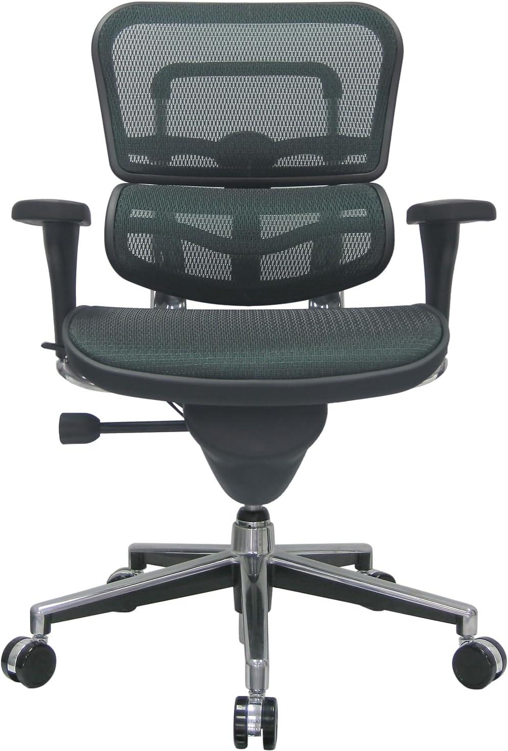 Eurotech Ergohuman ME8ERGLO Mesh Multifunction Executive Chair - Green Fabric Seat - 1 Each