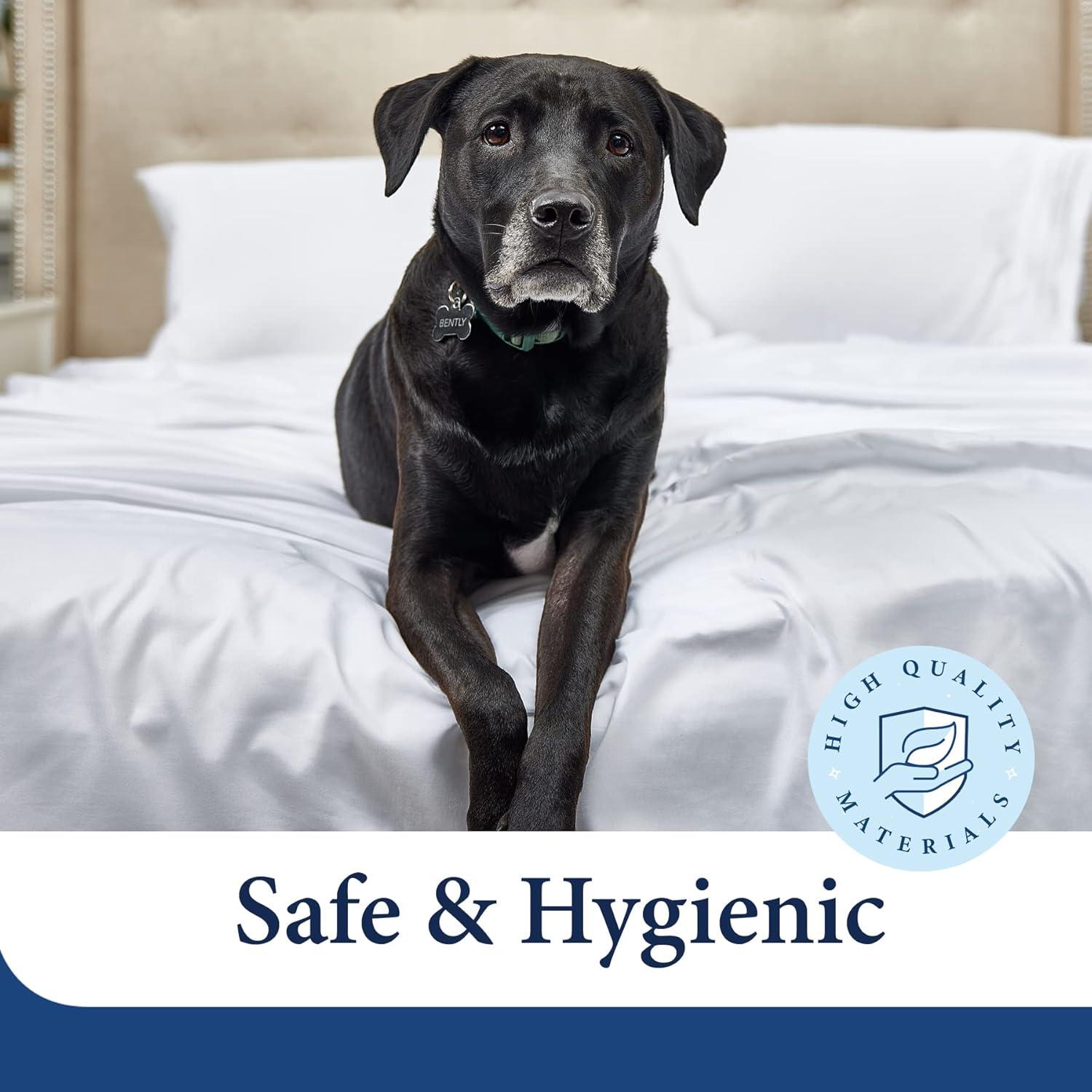 Cosy House Collection Everyday Pattern Bed Sheet Set - Black Pearl - Polka, Cal King