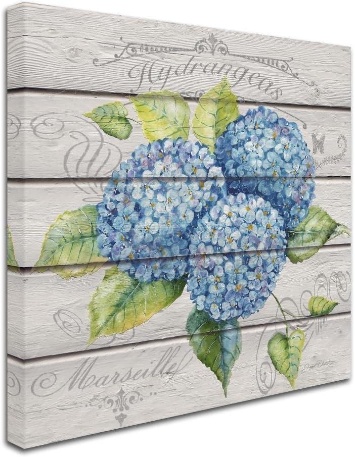 Jean Plout 'Blue Hydrangeas' Canvas Art - 24x24