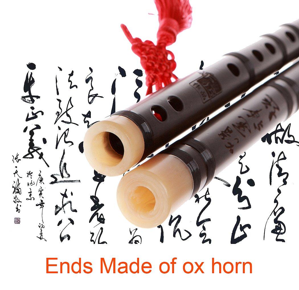 Professional Flute Dizi,NICOSHINE Chinese Instrument Aged Rosewood Dizi D key