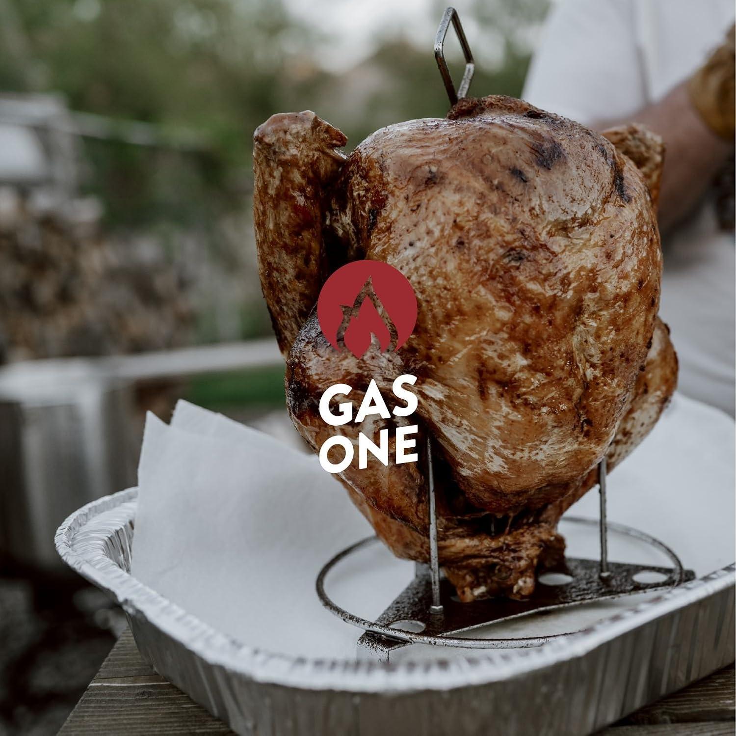 30 Qt Stainless Steel Outdoor Turkey Fryer with Propane Burner