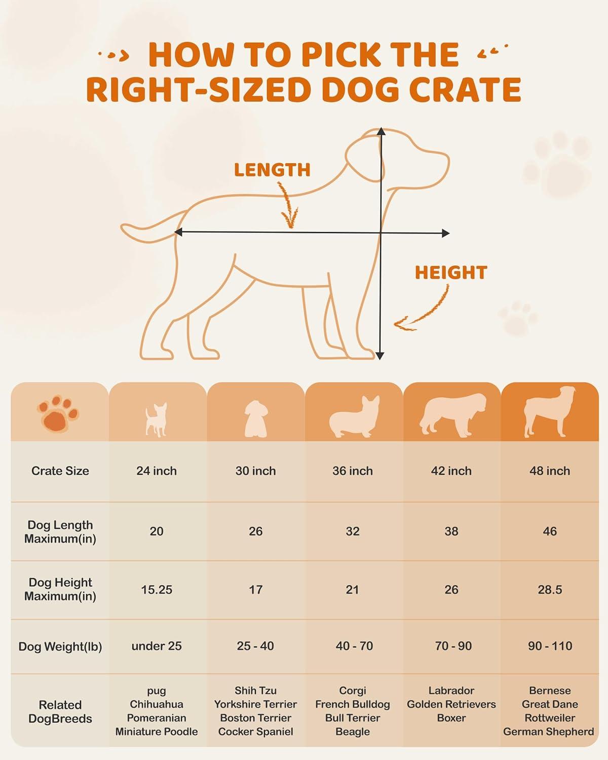 Yaheetech 24 inch Dog Crate Double Door w/Divider for Puppy Collapsible Metal Crate with Removable Tray Wire Kennel Pet Crate for Small Dogs Portable Travel Cage, Black