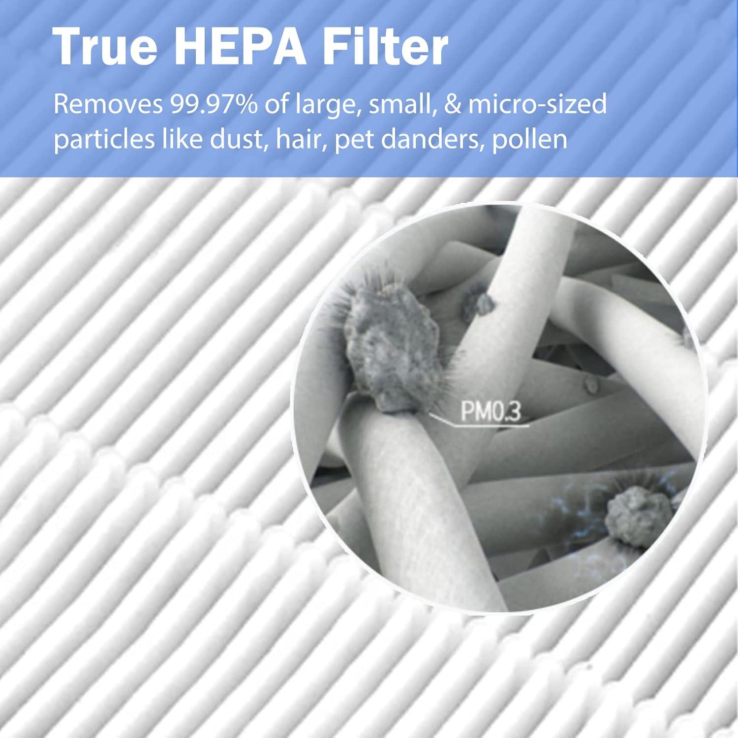 PUREBURG Washable H13 True HEPA Filters, 2 Pack