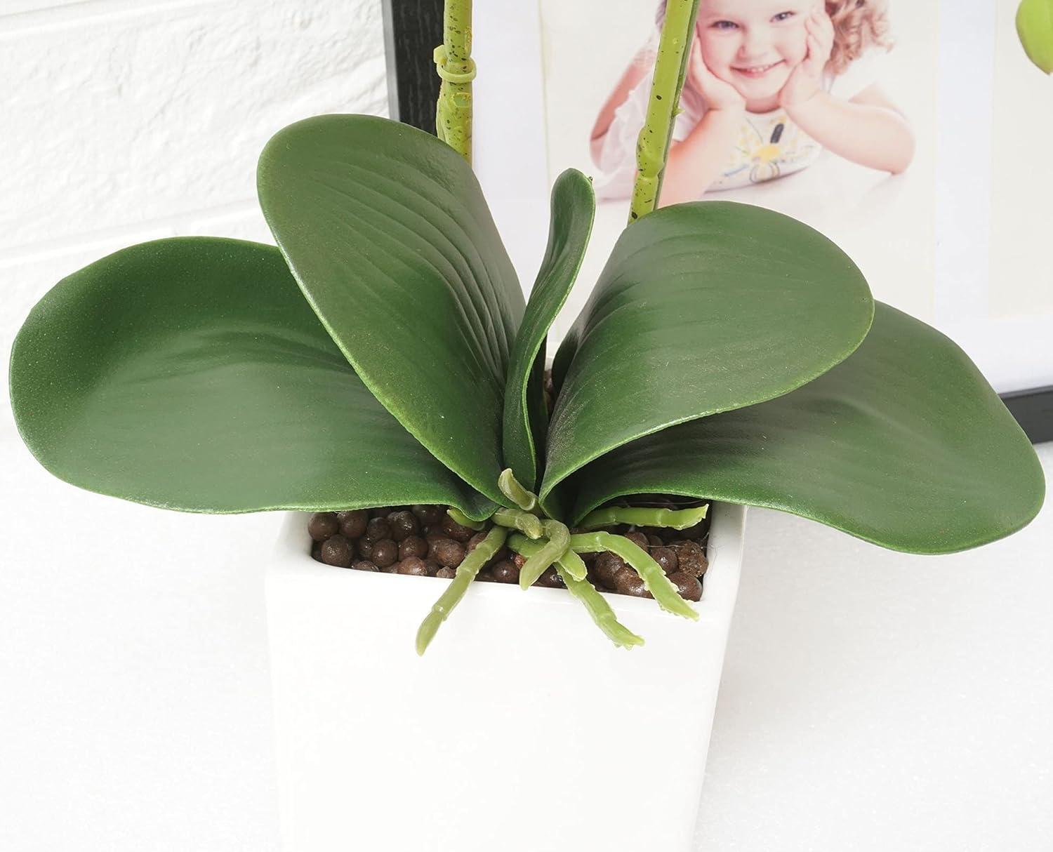 White Silk Orchid Bonsai in Ceramic Pot