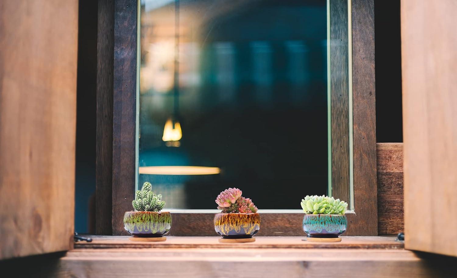 Colorful Ceramic Succulent Planters with Drainage and Saucers, Set of 5