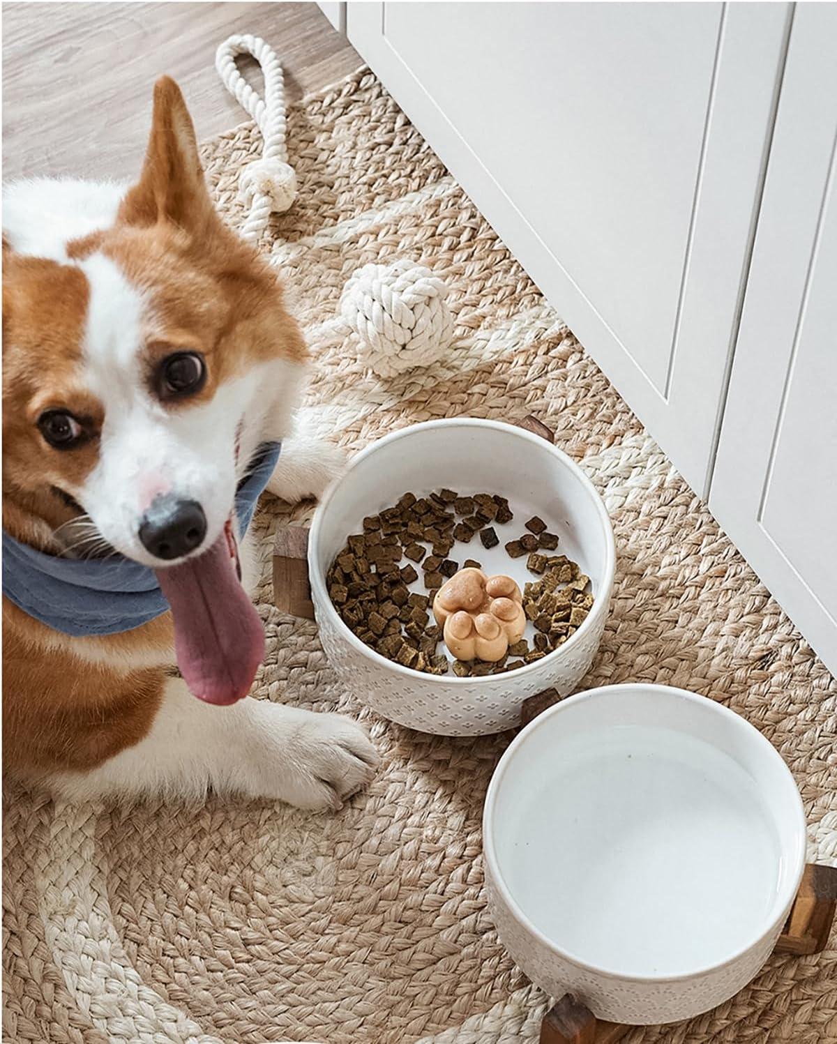 7 Inches Dog Food and Water Bowl