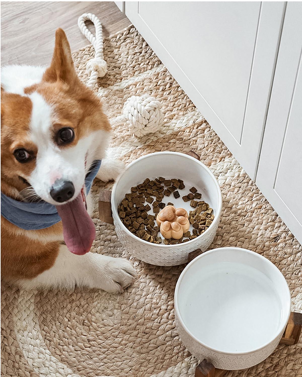 7 Inches Dog Food and Water Bowl