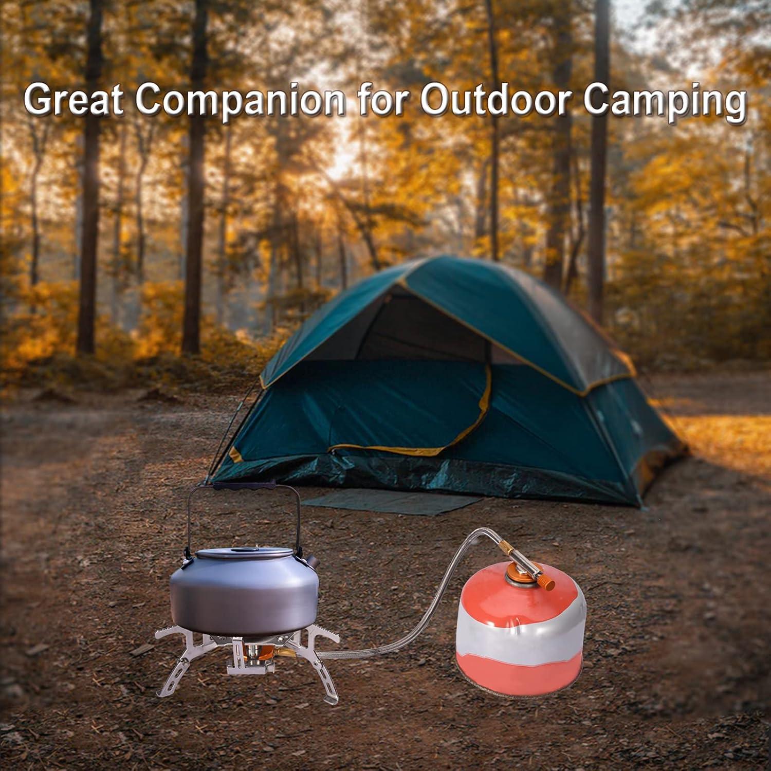 Portable Stainless Steel Gas Camping Stove with Propane Adapter