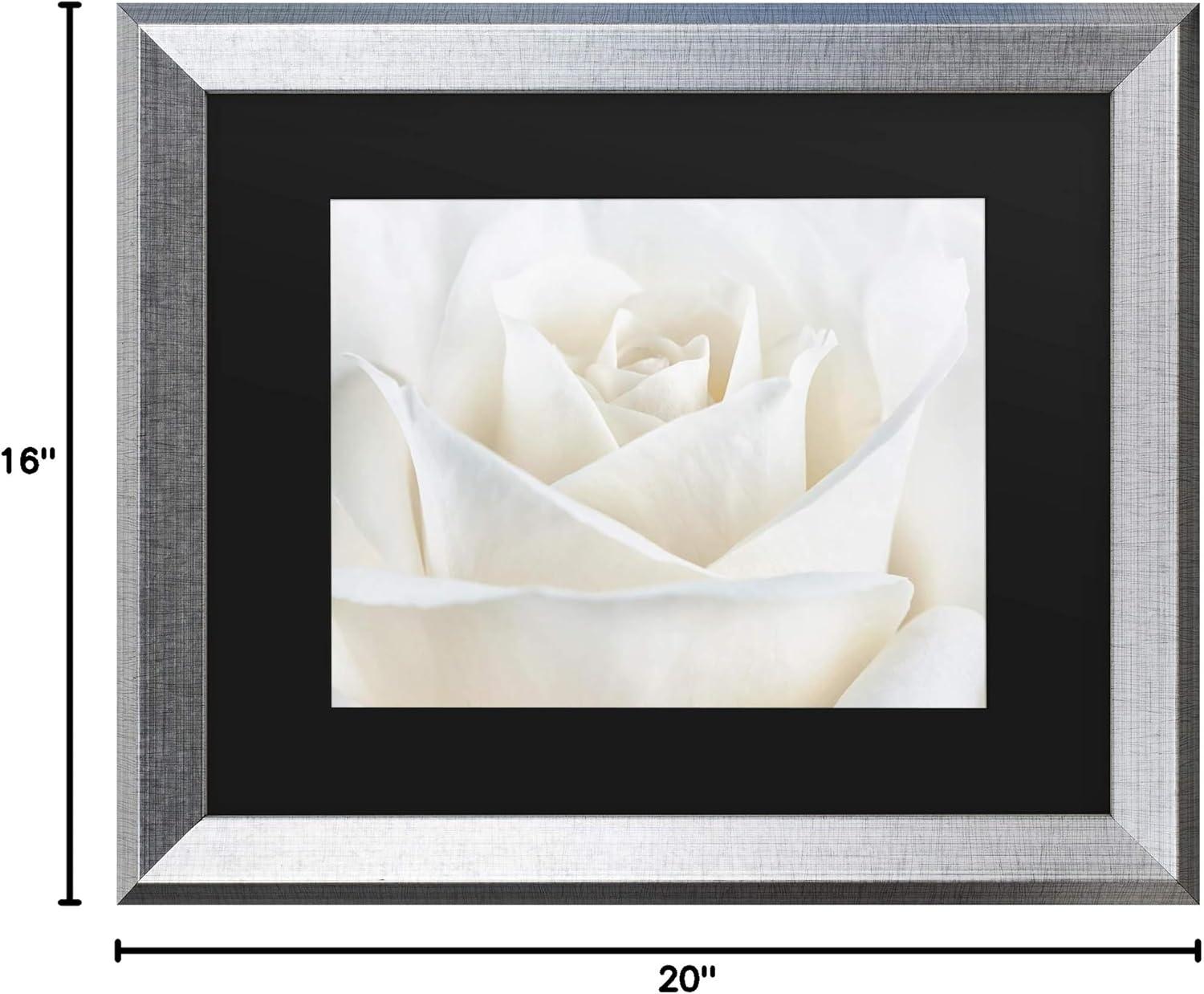 Pure White Rose Framed Photographic Print