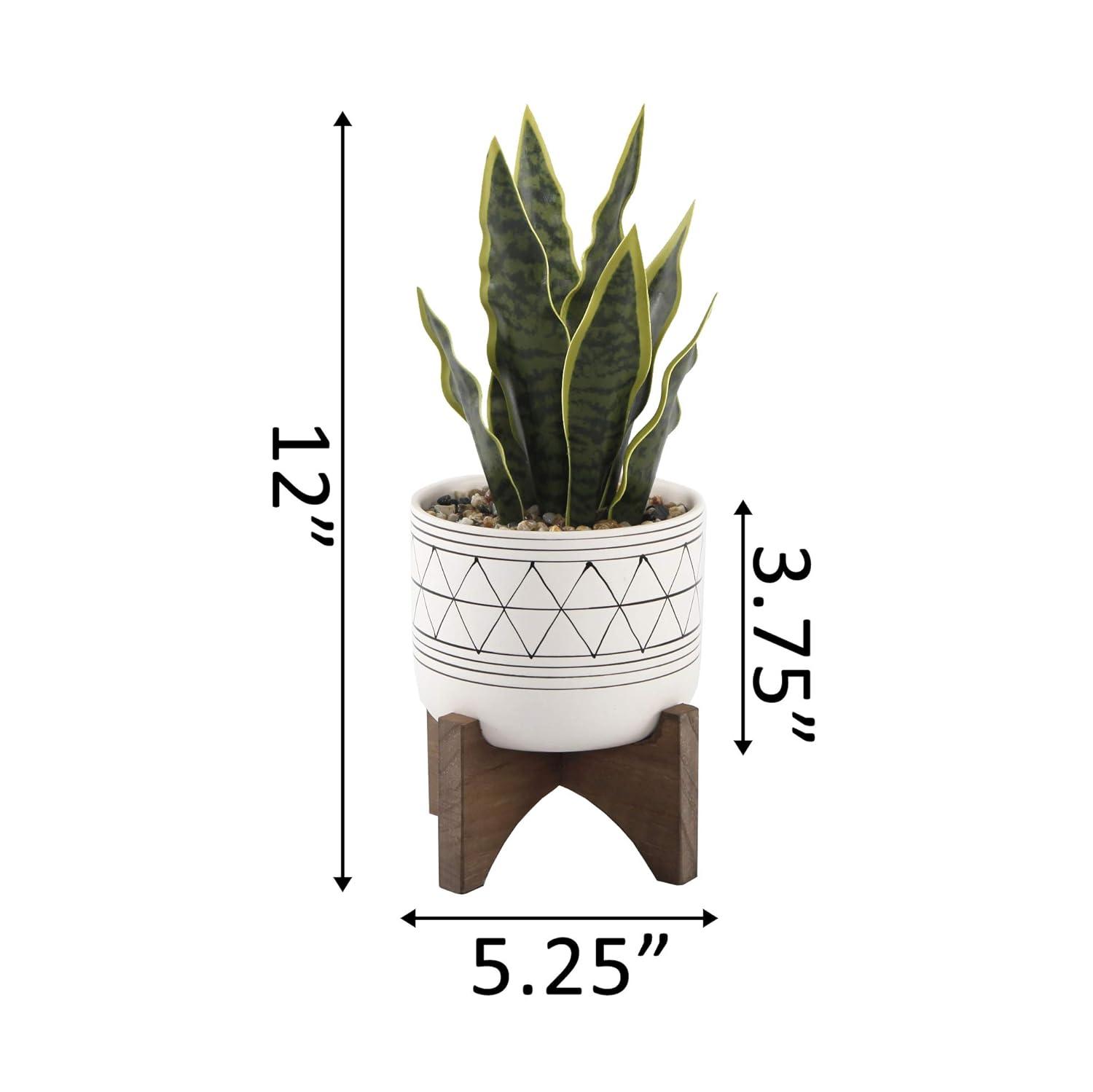 Chic Matte White Ceramic Tabletop Succulent Arrangement in Planter