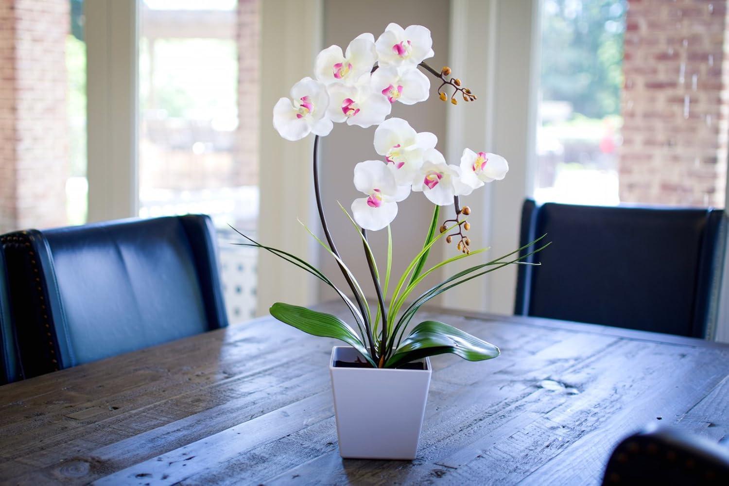 White LED Lighted Artificial Orchid Arrangement in Square Pot