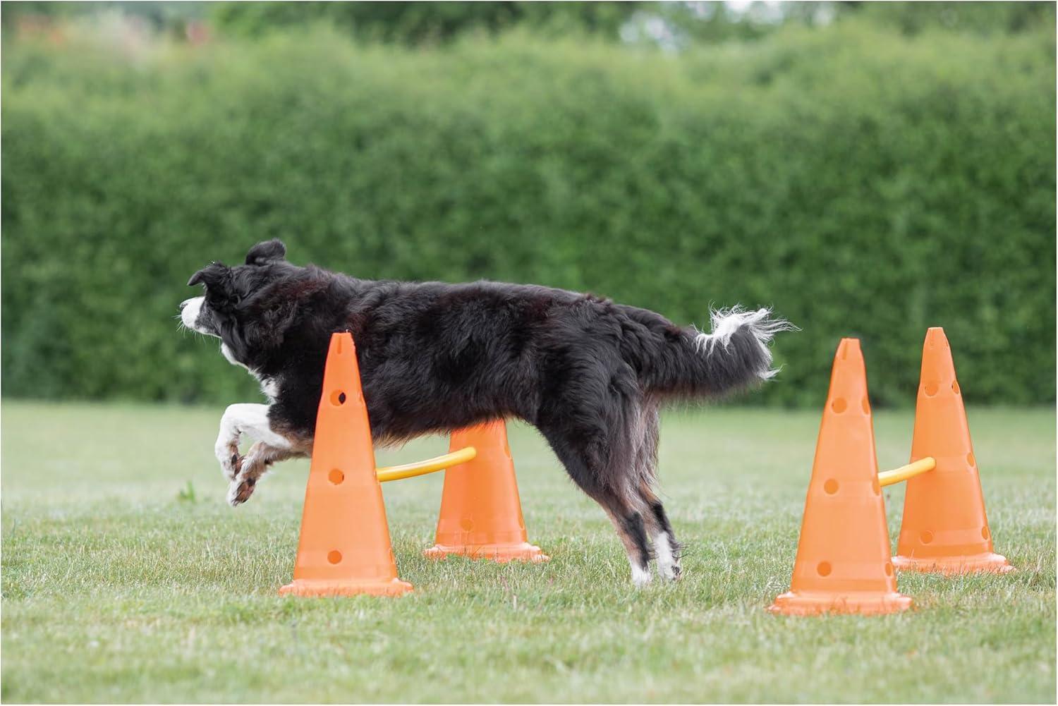 TRIXIE TRIXIE Dog Agility Hurdle Cone Set, Portable Canine Agility Training Set