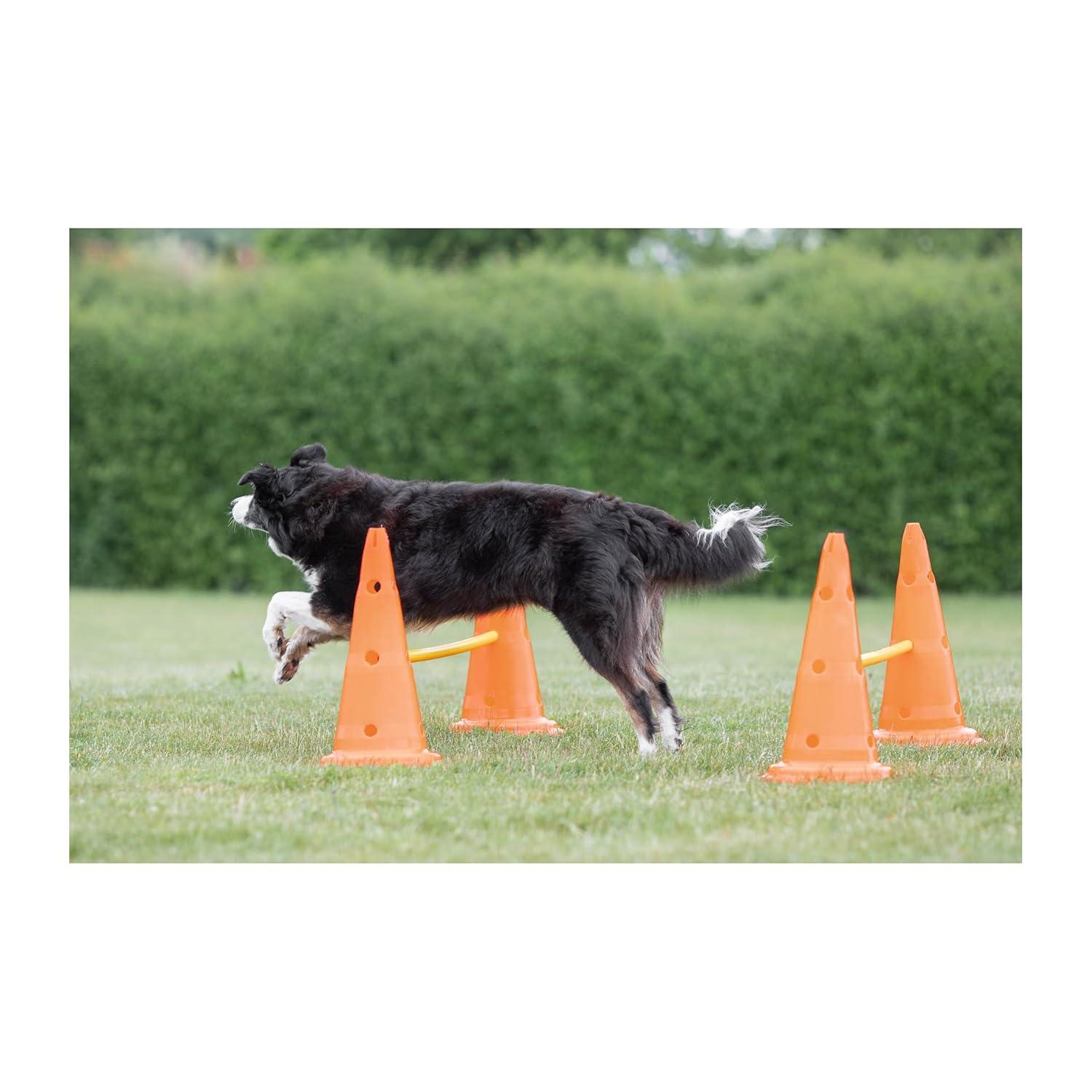 TRIXIE TRIXIE Dog Agility Hurdle Cone Set, Portable Canine Agility Training Set