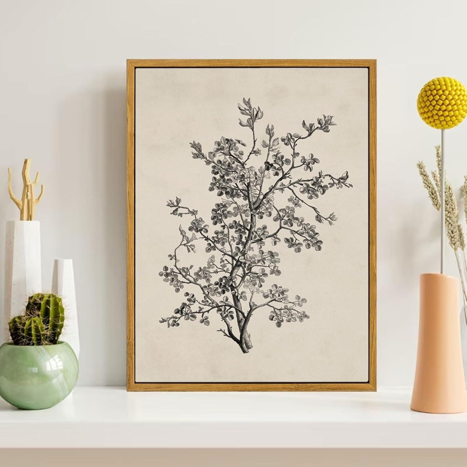 Vintage Botanical Wall Art Prints - Black and White Sketch Art Decor - Antique Pictures and Rustic Paintings for Living Room Bedroom - 12"x16" Unframed