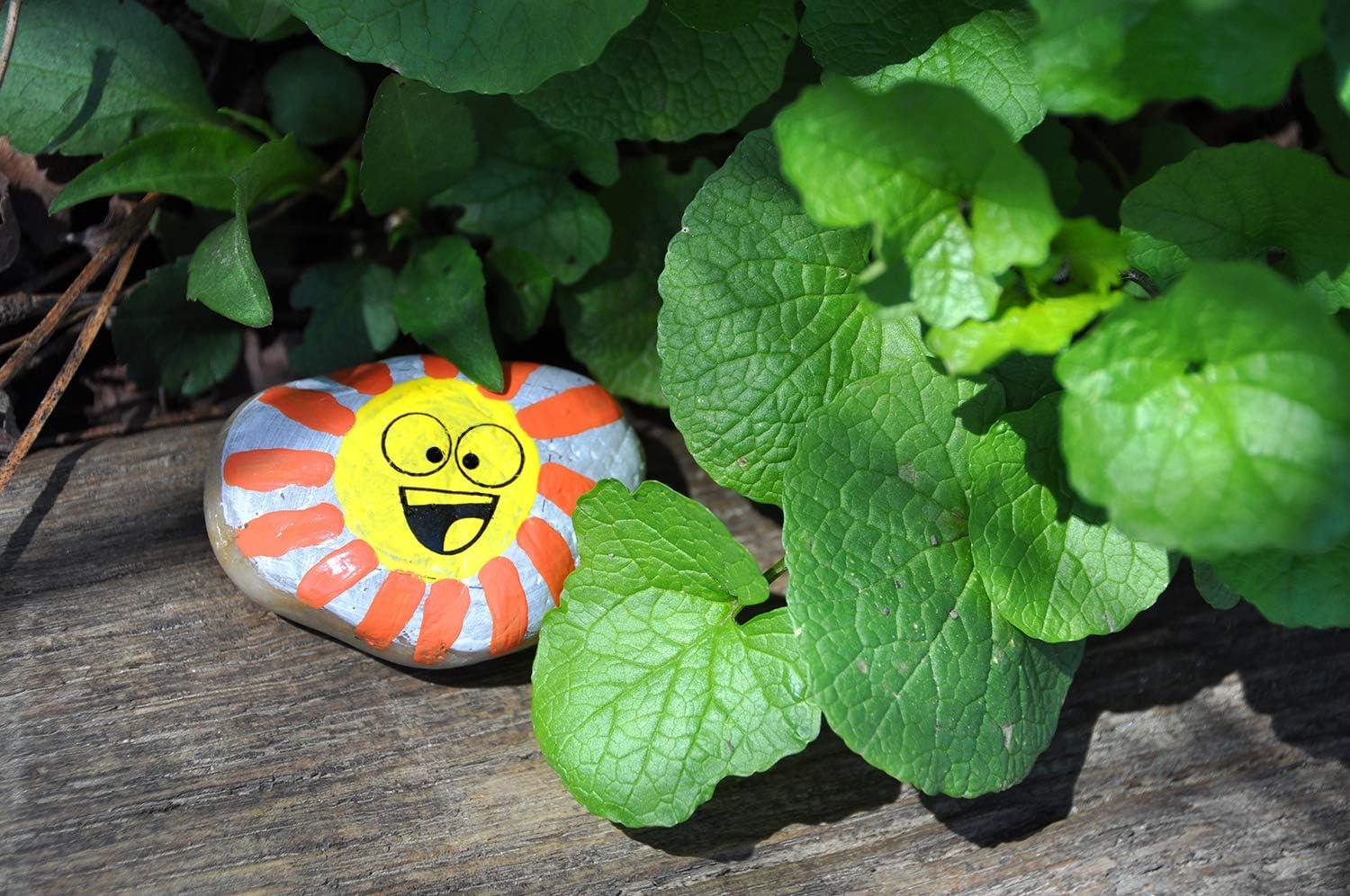 Hide & Seek Rock Painting Kit - Creativity for Kids: Paints, Stickers, Rocks, Brush, Craft Activity for Ages 6+